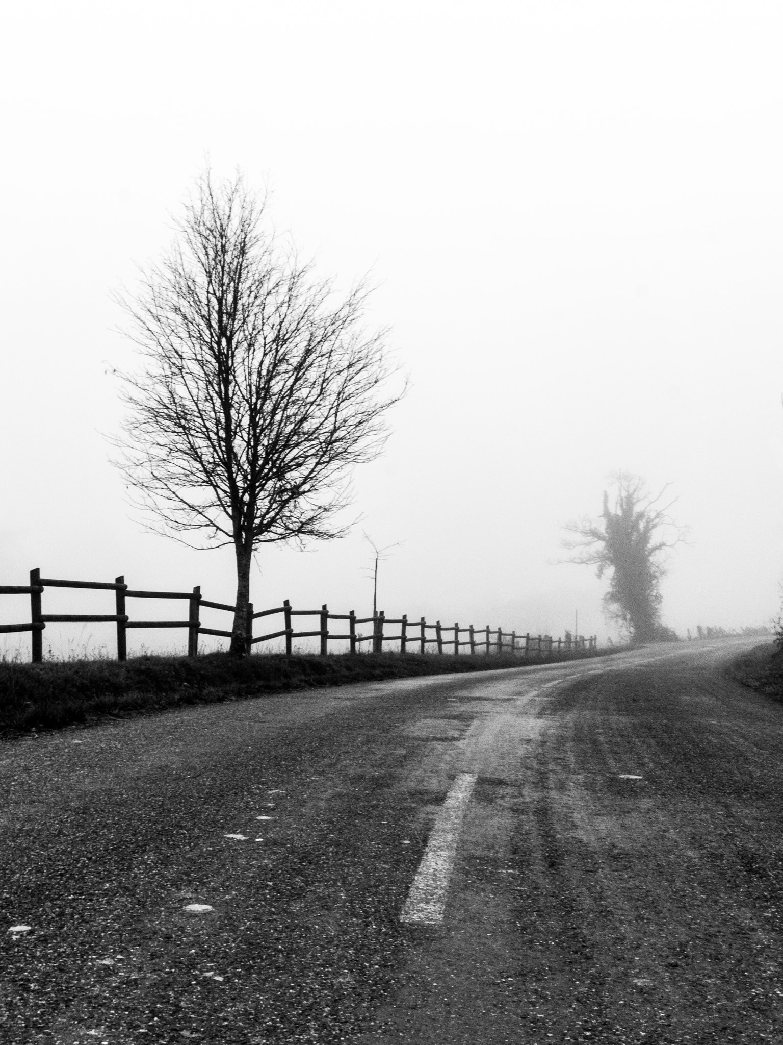 Sony Alpha NEX-7 sample photo. La route photography