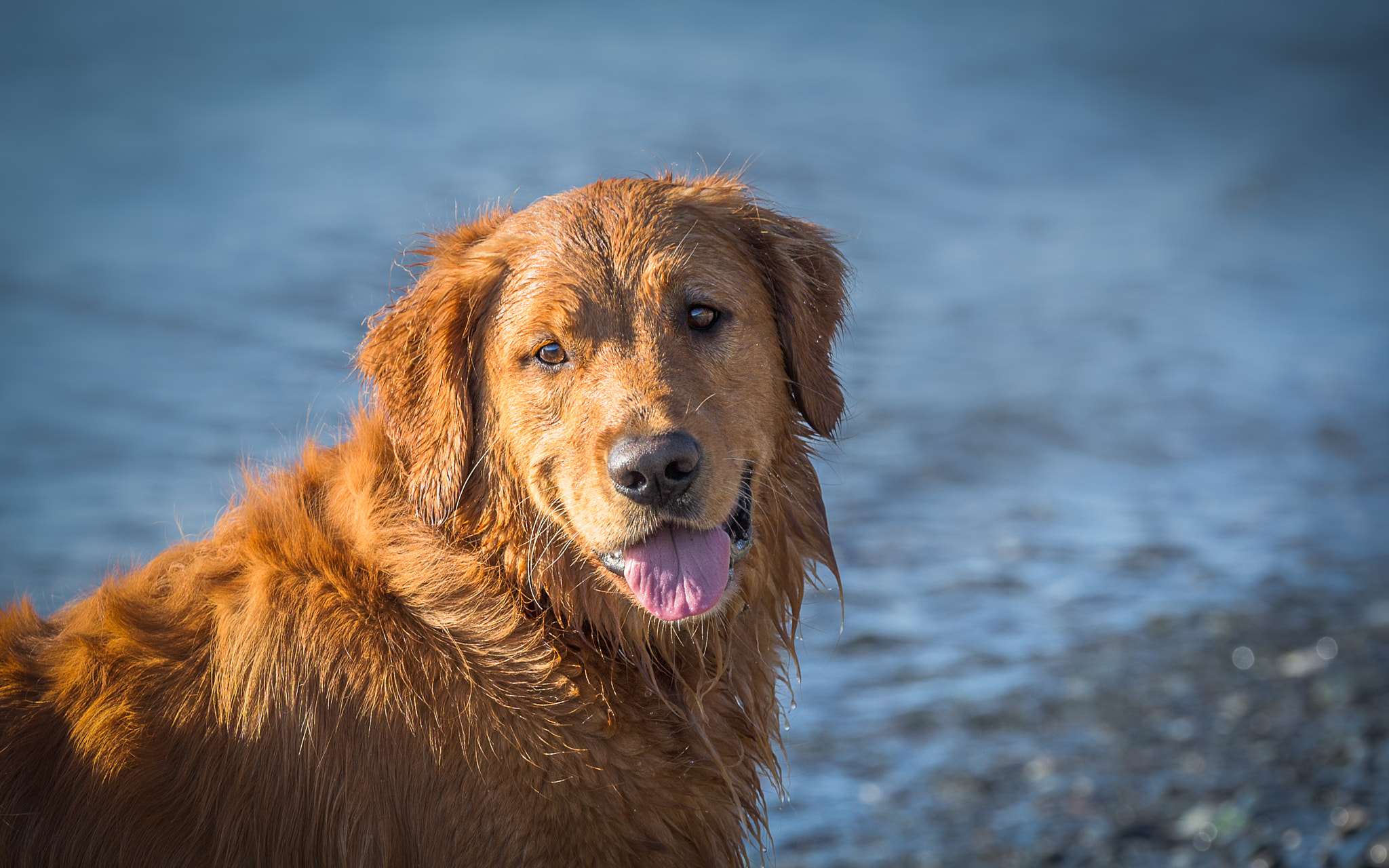 Tamron SP 70-200mm F2.8 Di VC USD sample photo. Luke - portrait photography