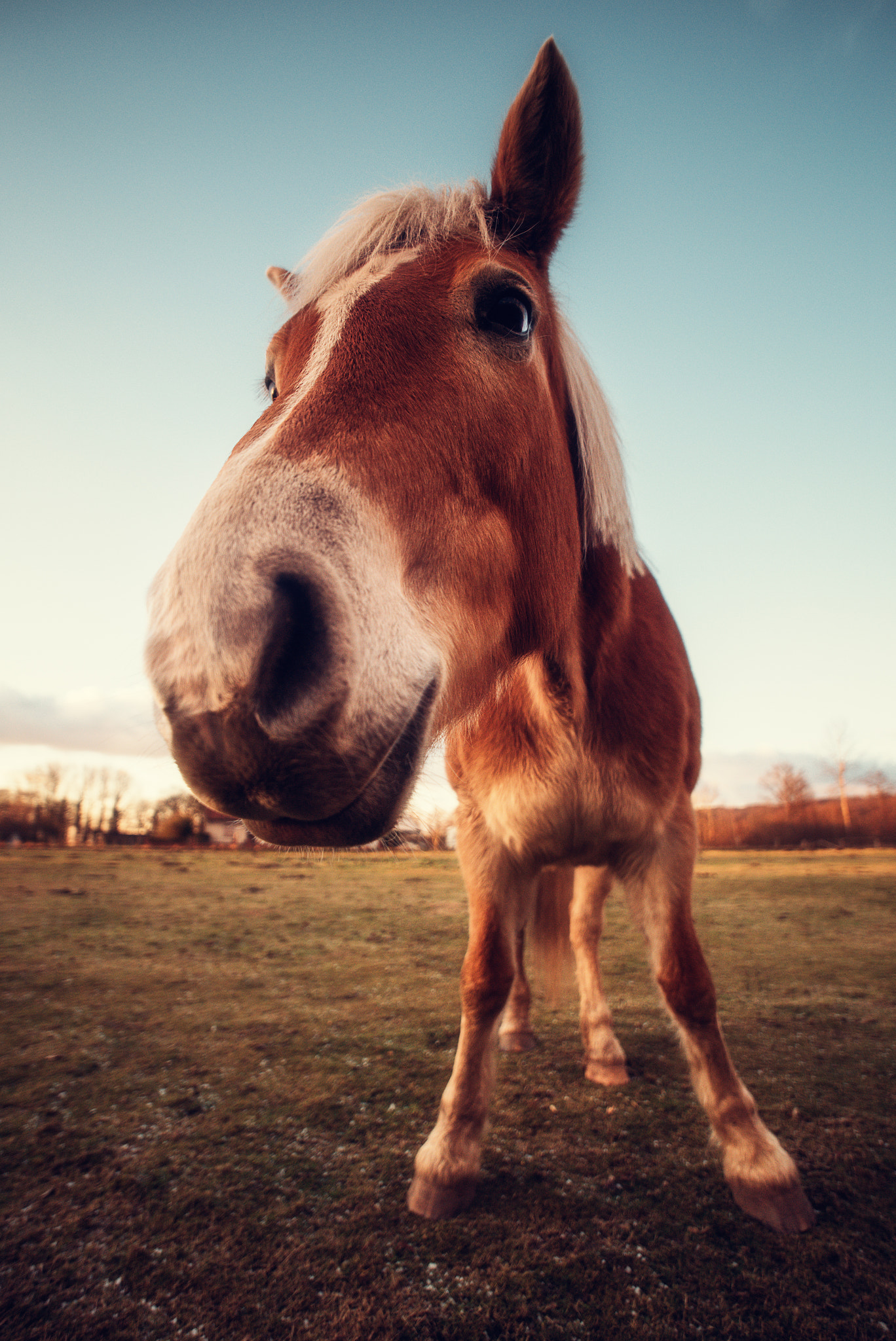 Sigma 14mm F2.8 EX Aspherical HSM sample photo. Hotelhorse i photography