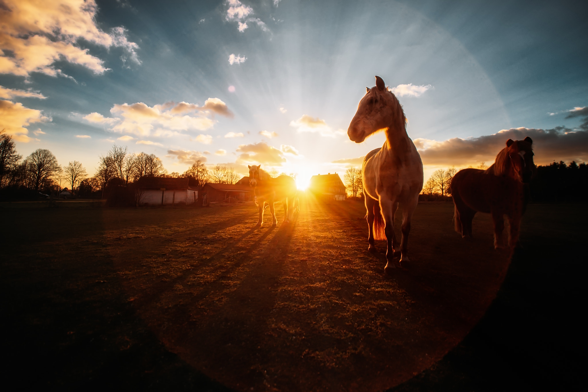 Nikon D750 + Sigma 14mm F2.8 EX Aspherical HSM sample photo. Hotelhorse ii photography