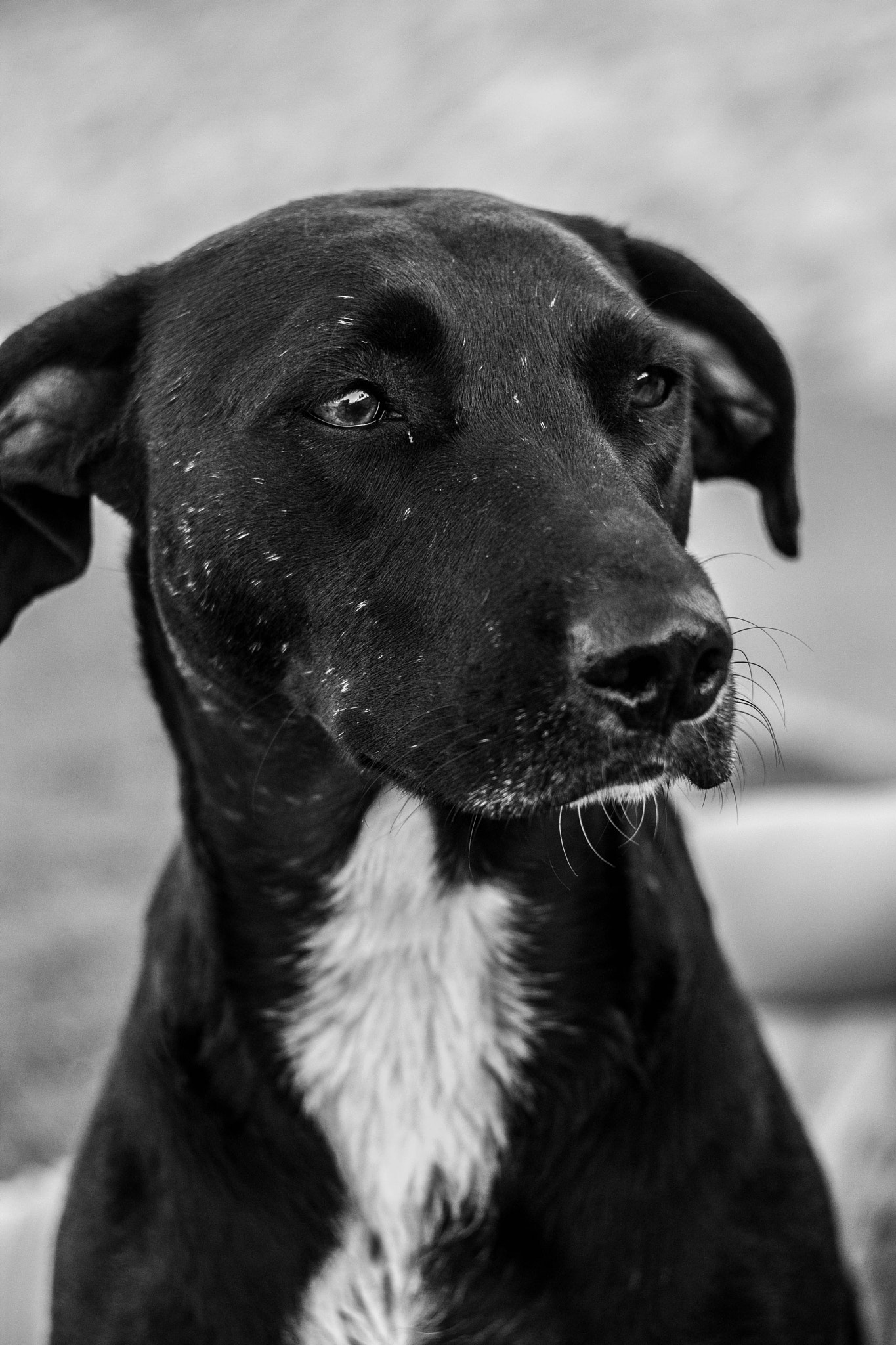 Canon EF 35-80mm f/4-5.6 sample photo. Kiltro photography