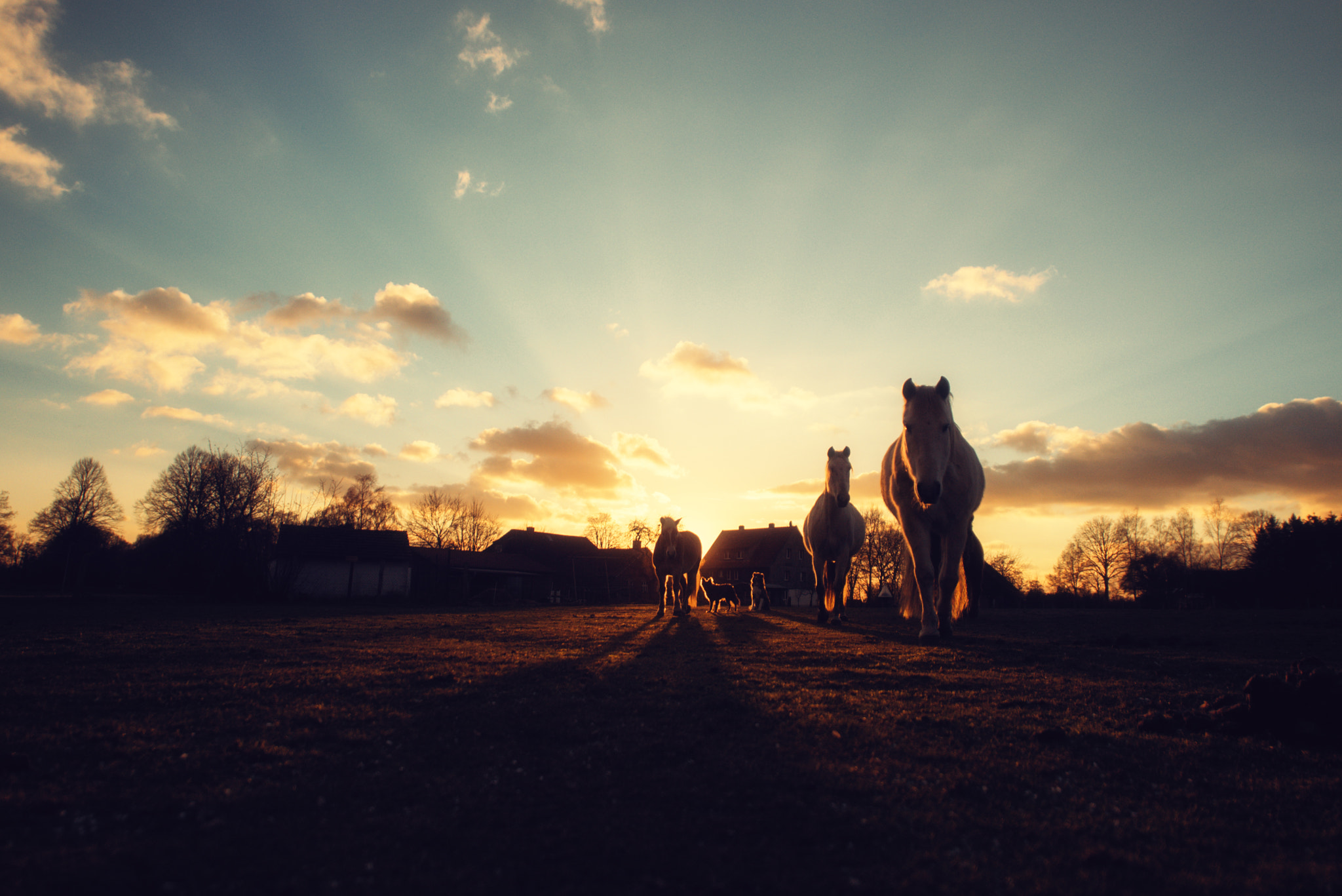 Sigma 14mm F2.8 EX Aspherical HSM sample photo. Hotelhorse iii photography