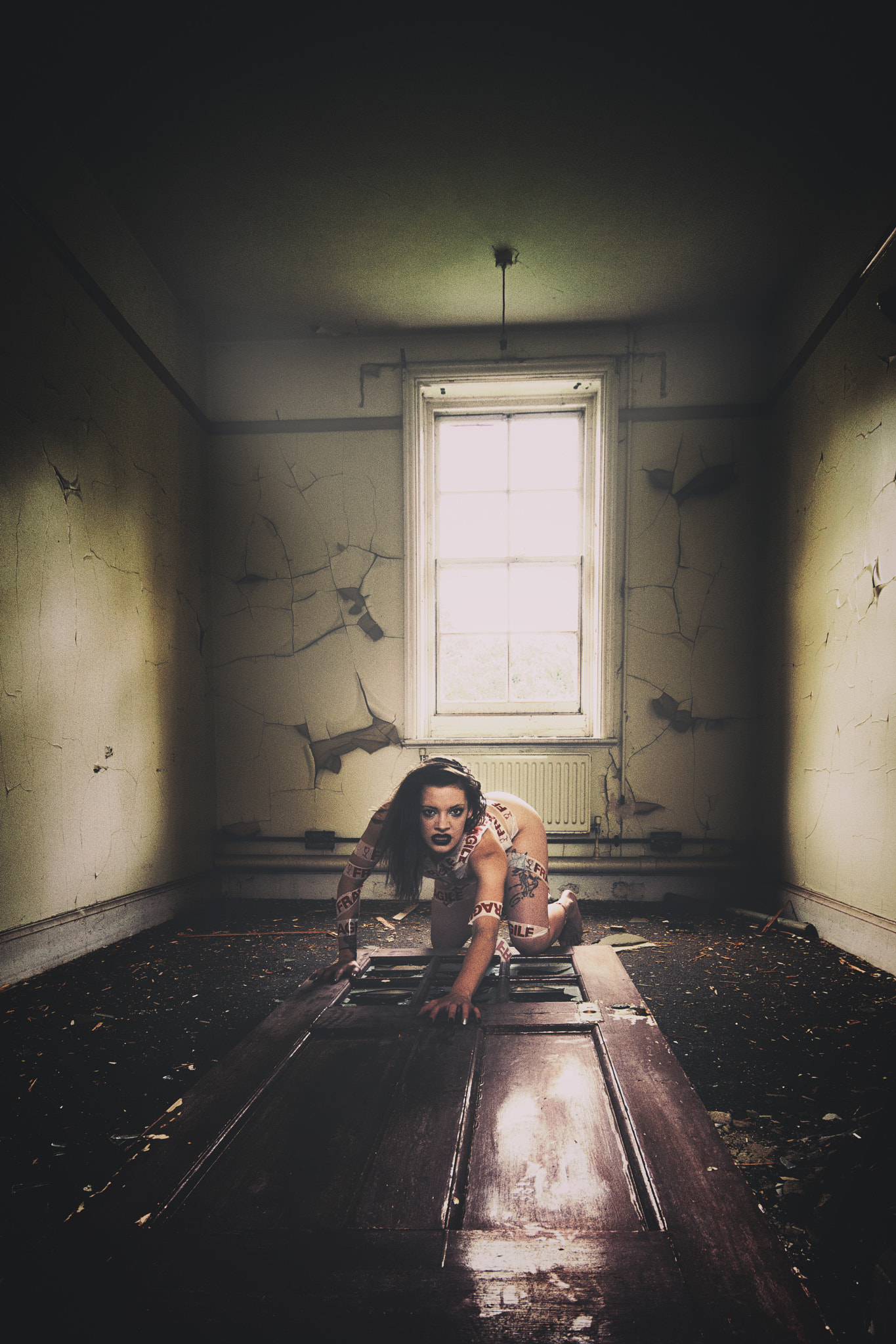 Sigma 10-20mm F4-5.6 EX DC HSM sample photo. Asylum crawler photography