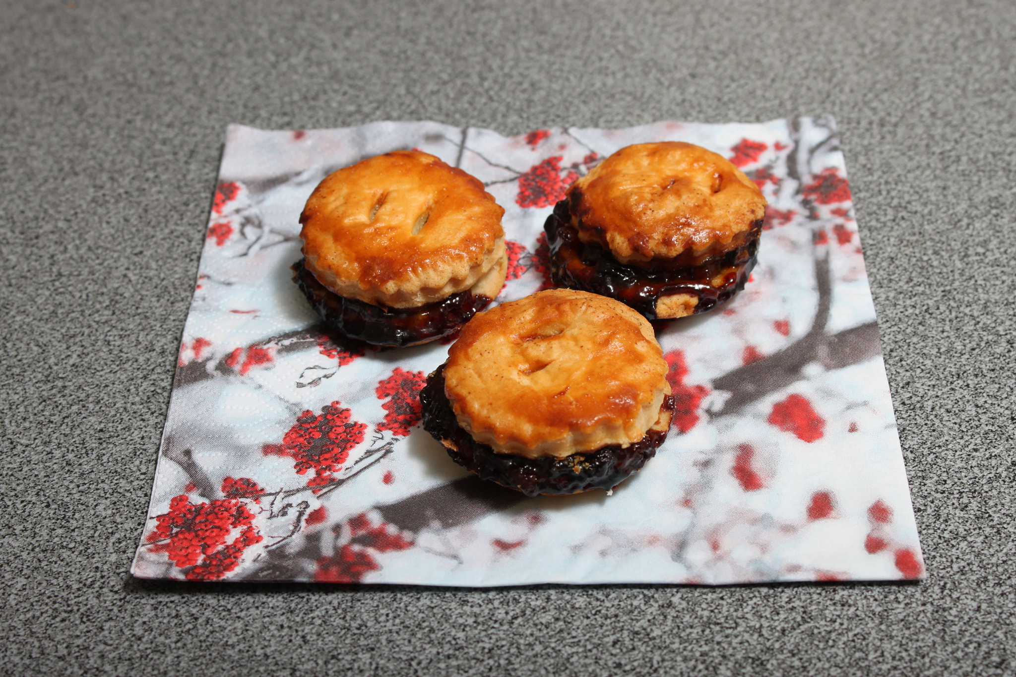 Canon EOS 500D (EOS Rebel T1i / EOS Kiss X3) + Canon EF-S 18-55mm F3.5-5.6 IS STM sample photo. Homemade mince pies photography