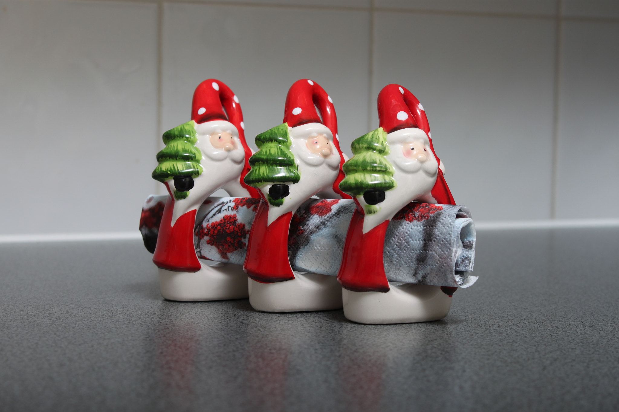 Canon EOS 500D (EOS Rebel T1i / EOS Kiss X3) sample photo. Father christmas napkin rings photography