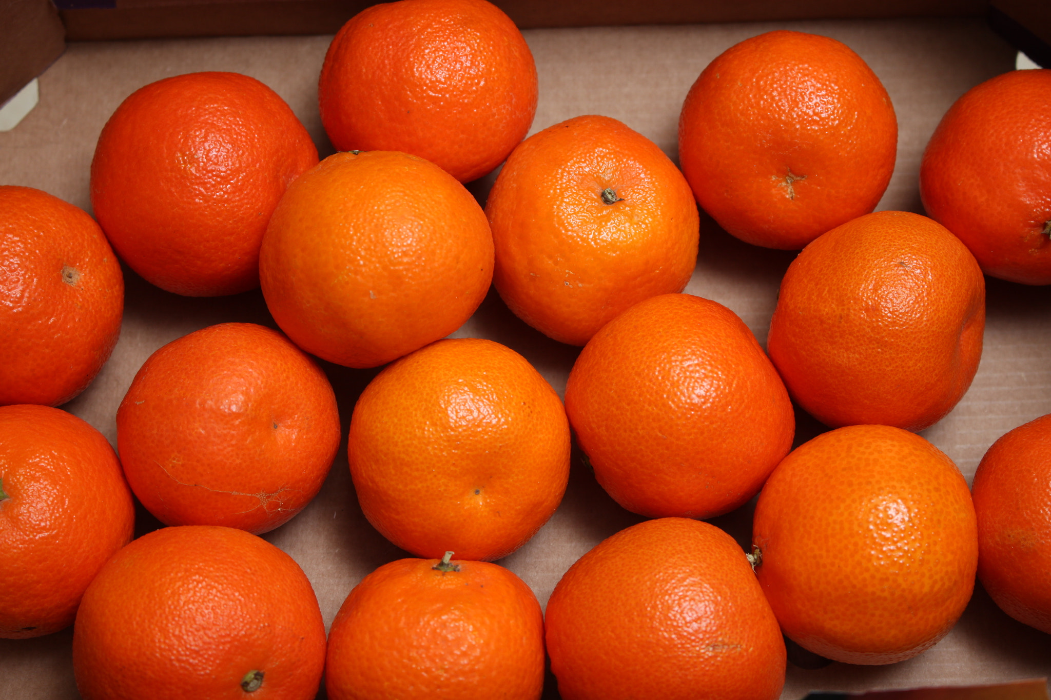 Canon EOS 500D (EOS Rebel T1i / EOS Kiss X3) sample photo. Satsumas photography