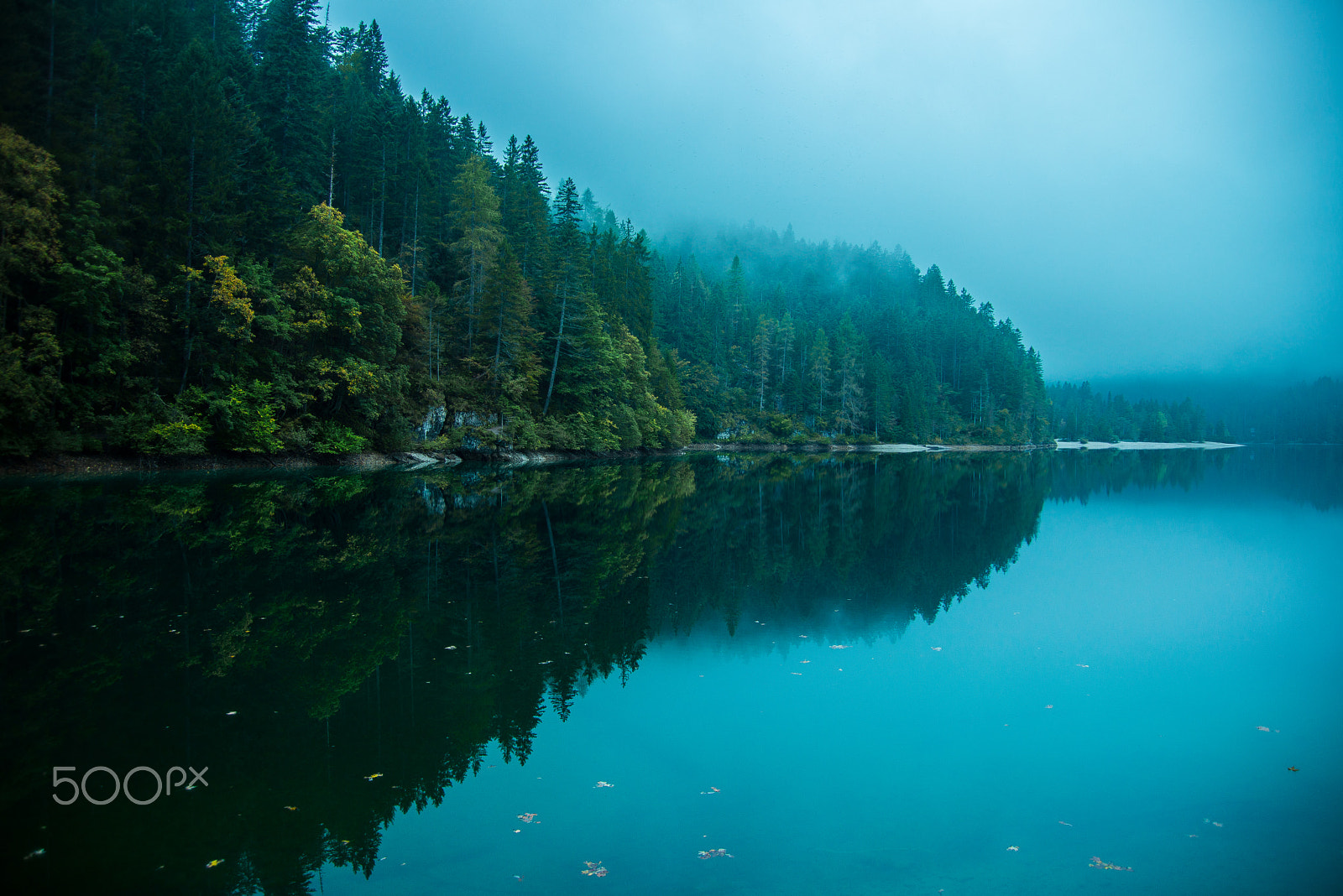 Nikon D800E sample photo. Fog and calm photography