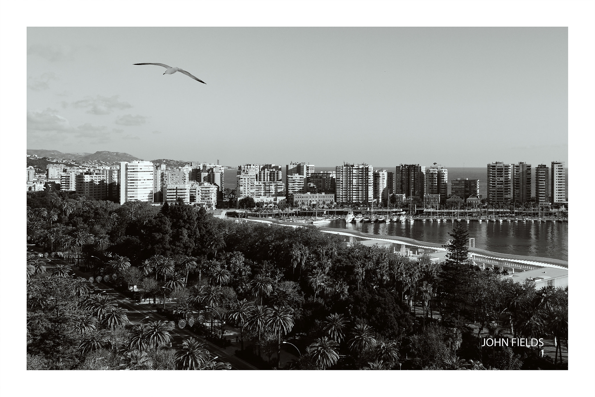 Panasonic Lumix DMC-GX8 + Olympus M.Zuiko Digital ED 12-40mm F2.8 Pro sample photo. Málaga (1) photography