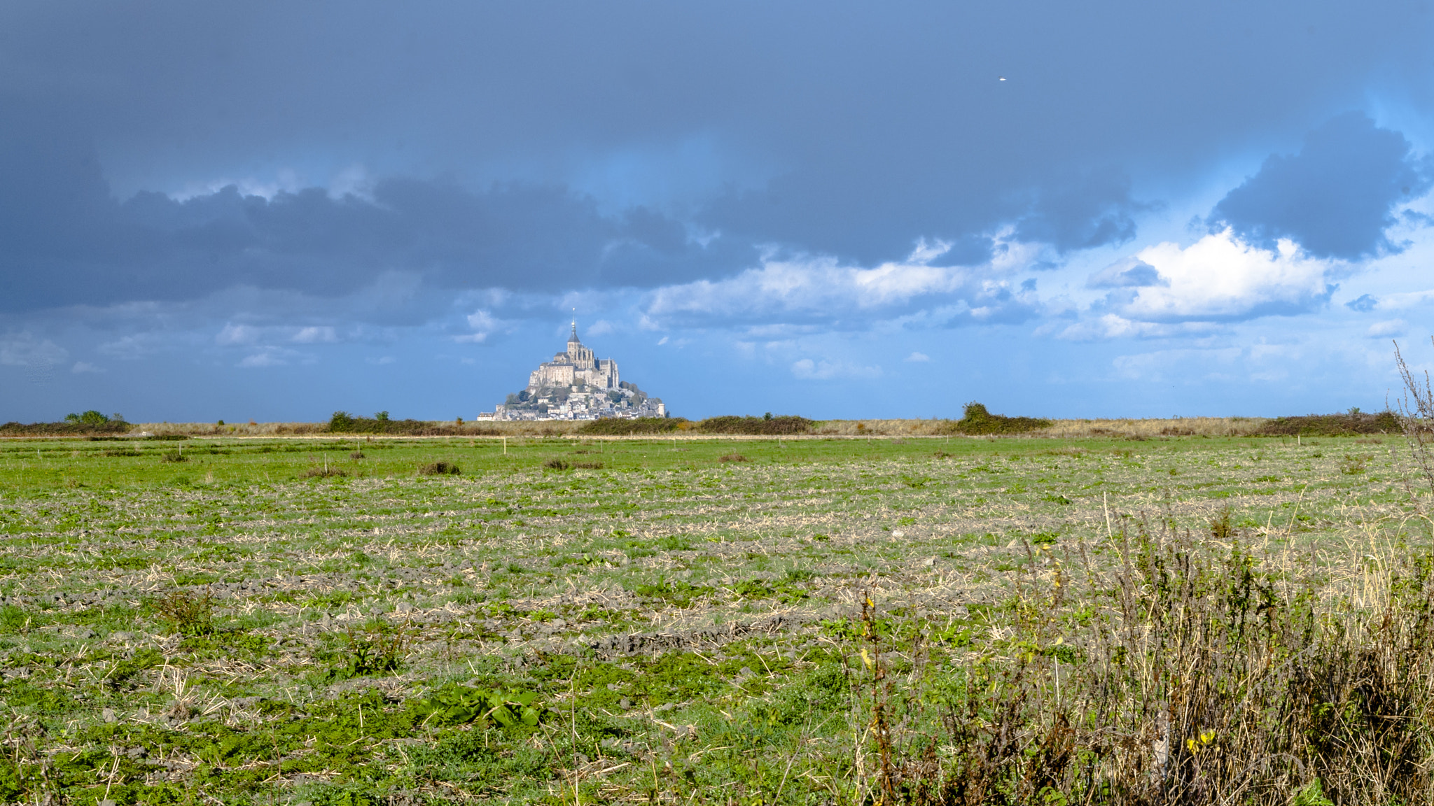 Nikon D200 sample photo. Nature automnale photography