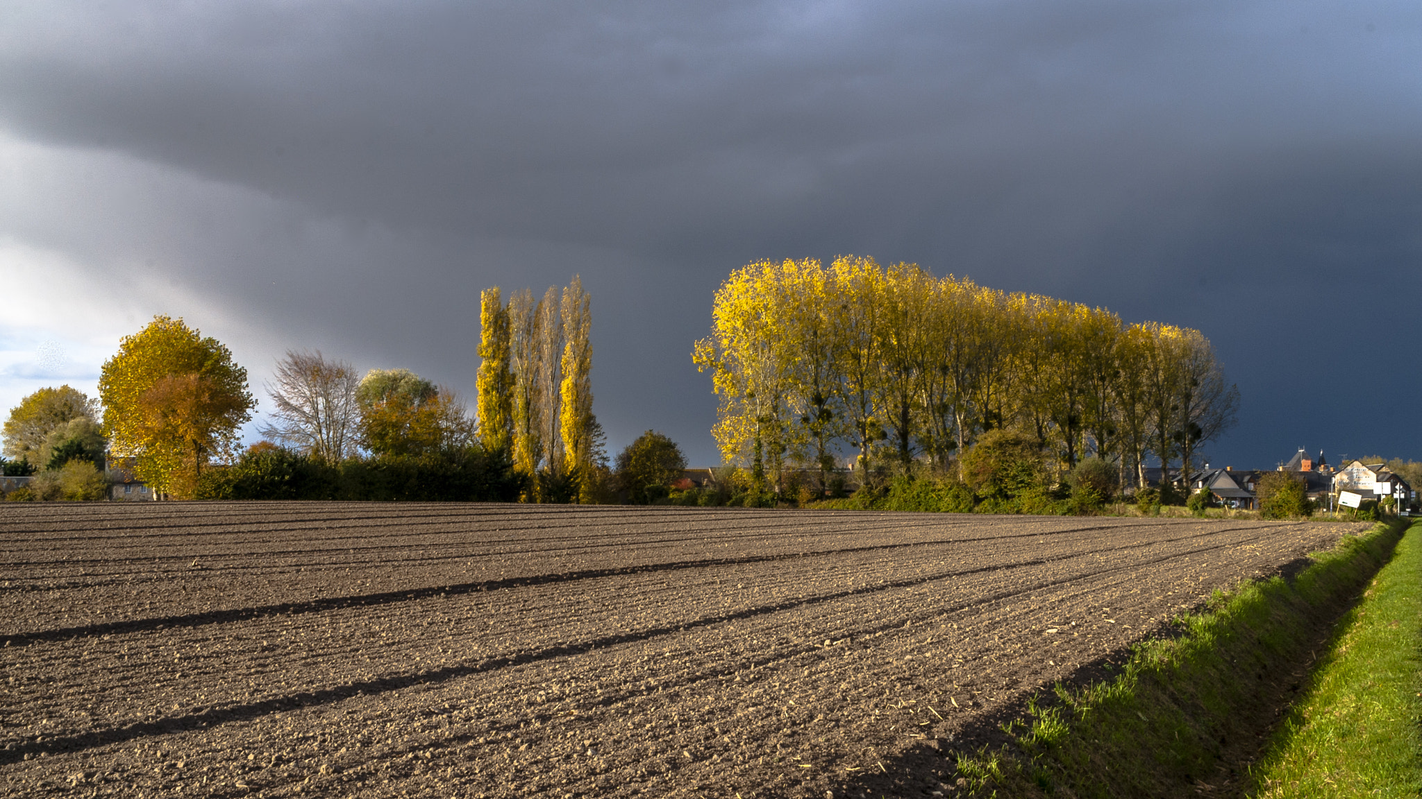 Nikon D200 sample photo. Nature automnale photography