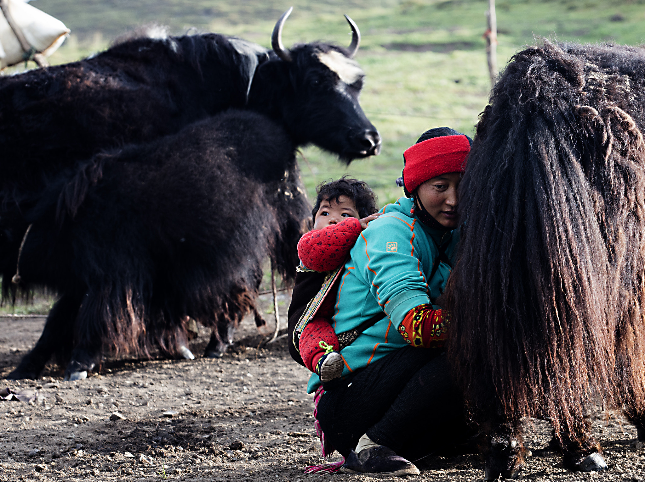 Canon EOS 5DS sample photo. Two pairs of mother and son photography