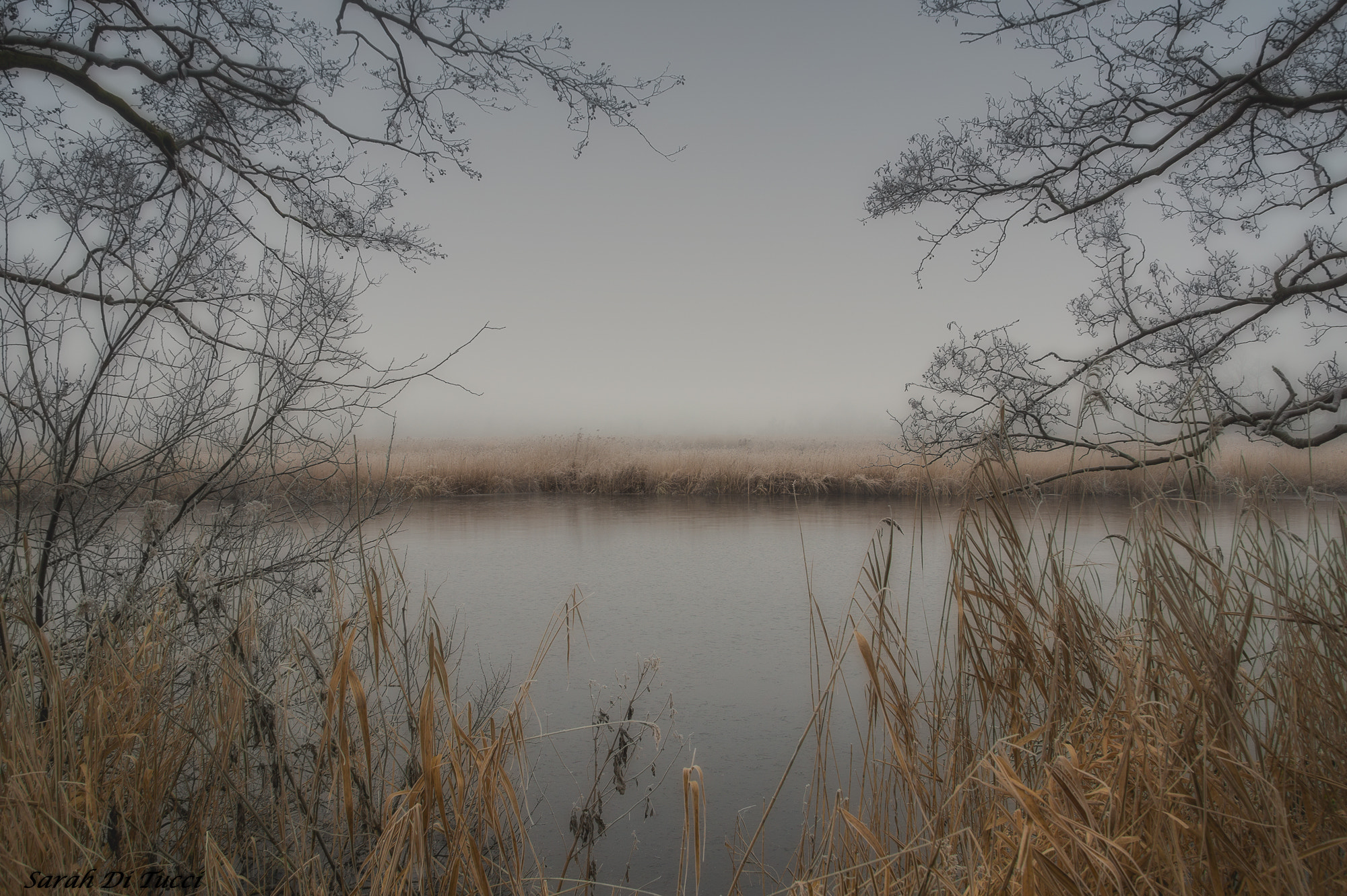 Sony DT 18-200mm F3.5-6.3 sample photo. It's cold outside photography