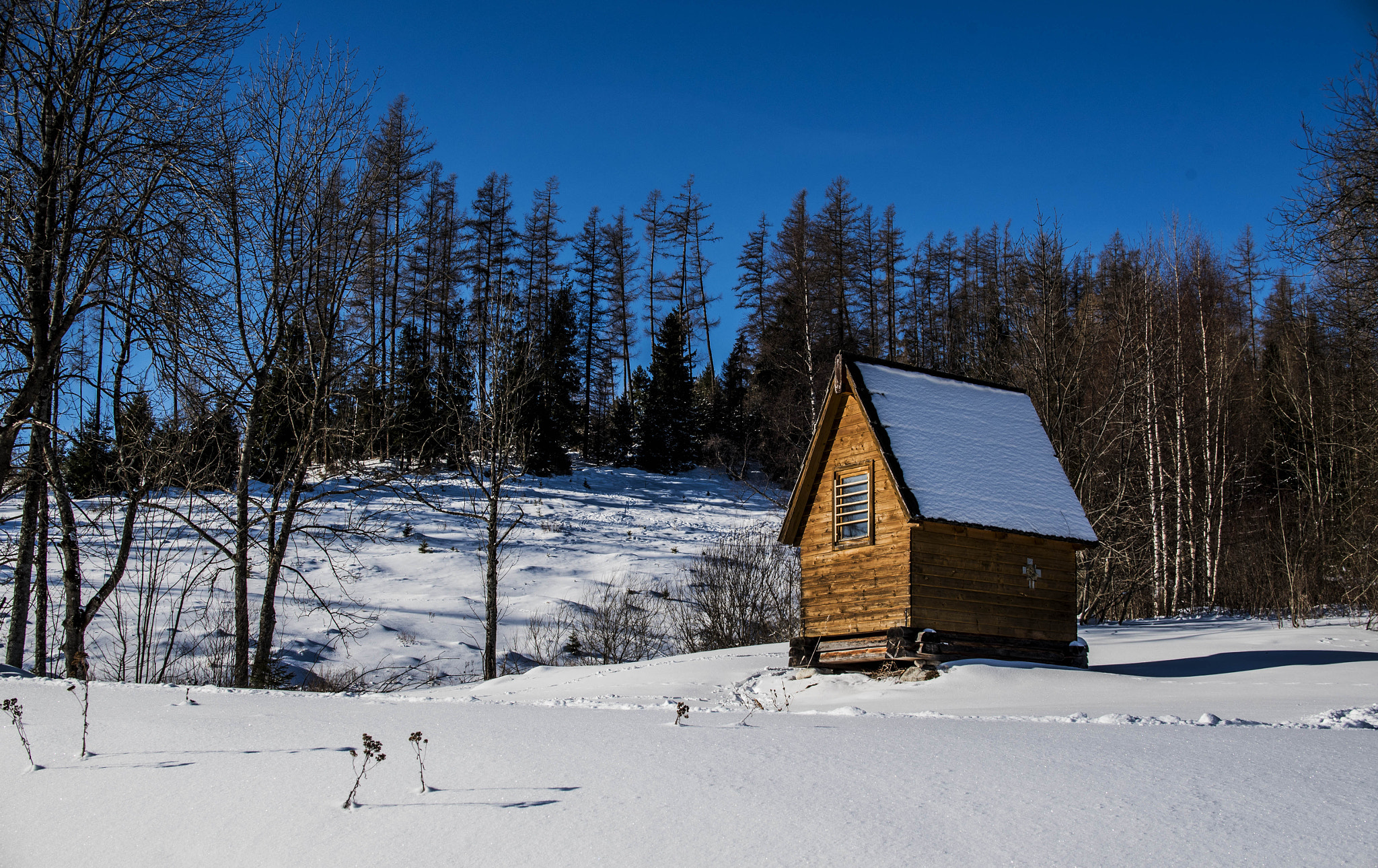 Nikon D750 + Nikon AF-S DX Nikkor 35mm F1.8G sample photo. Cottage photography