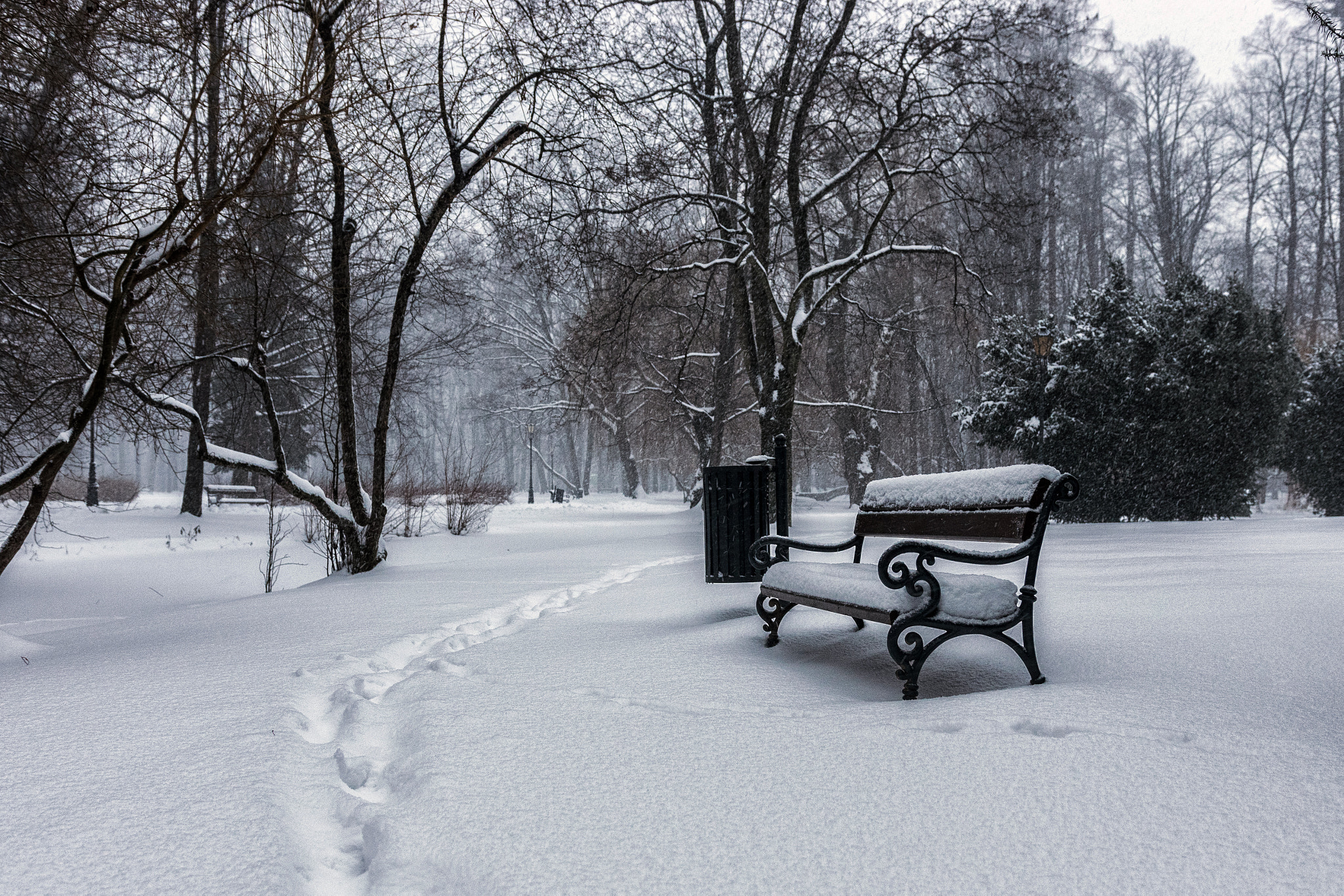Nikon D5300 + Sigma 18-35mm F1.8 DC HSM Art sample photo. After snowing photography