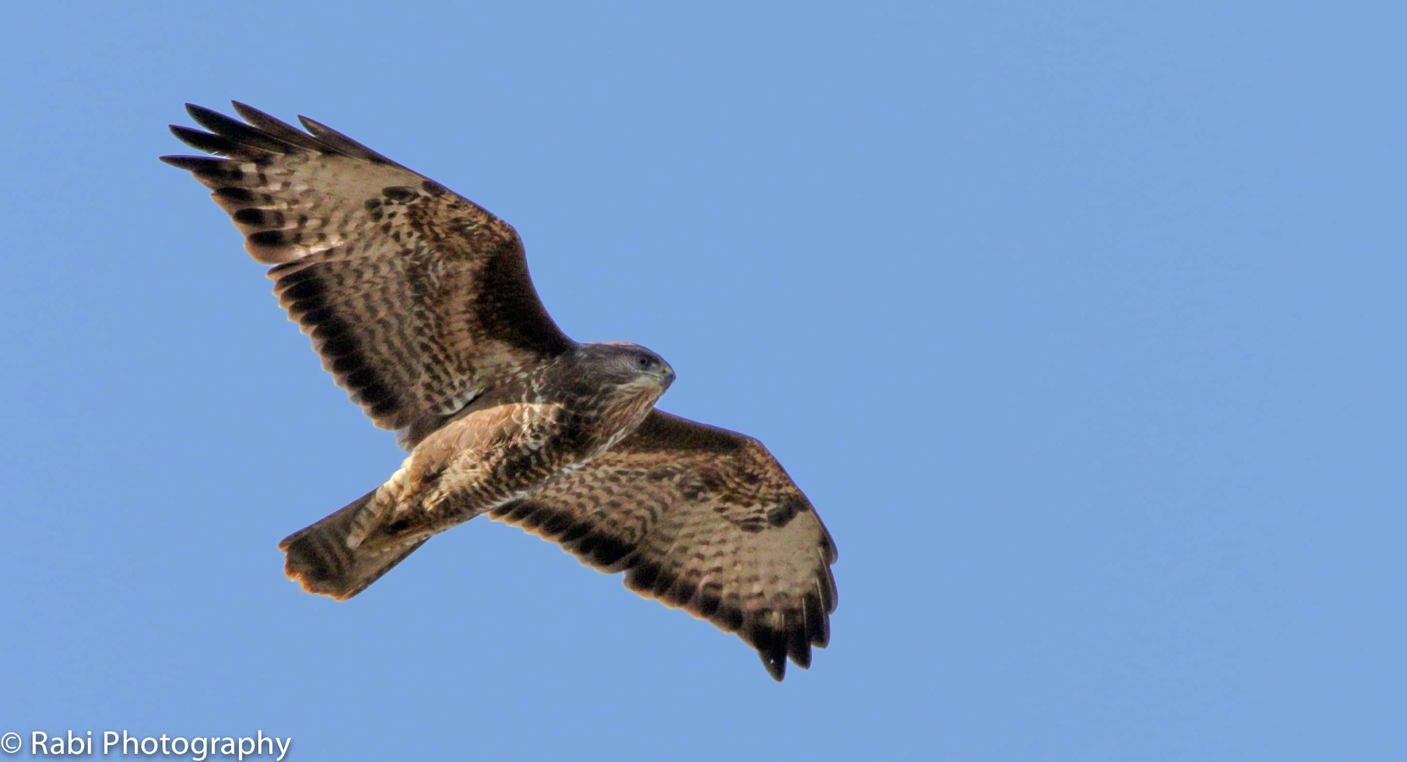 150-600mm F5-6.3 DG OS HSM | Sports 014 sample photo. Img photography