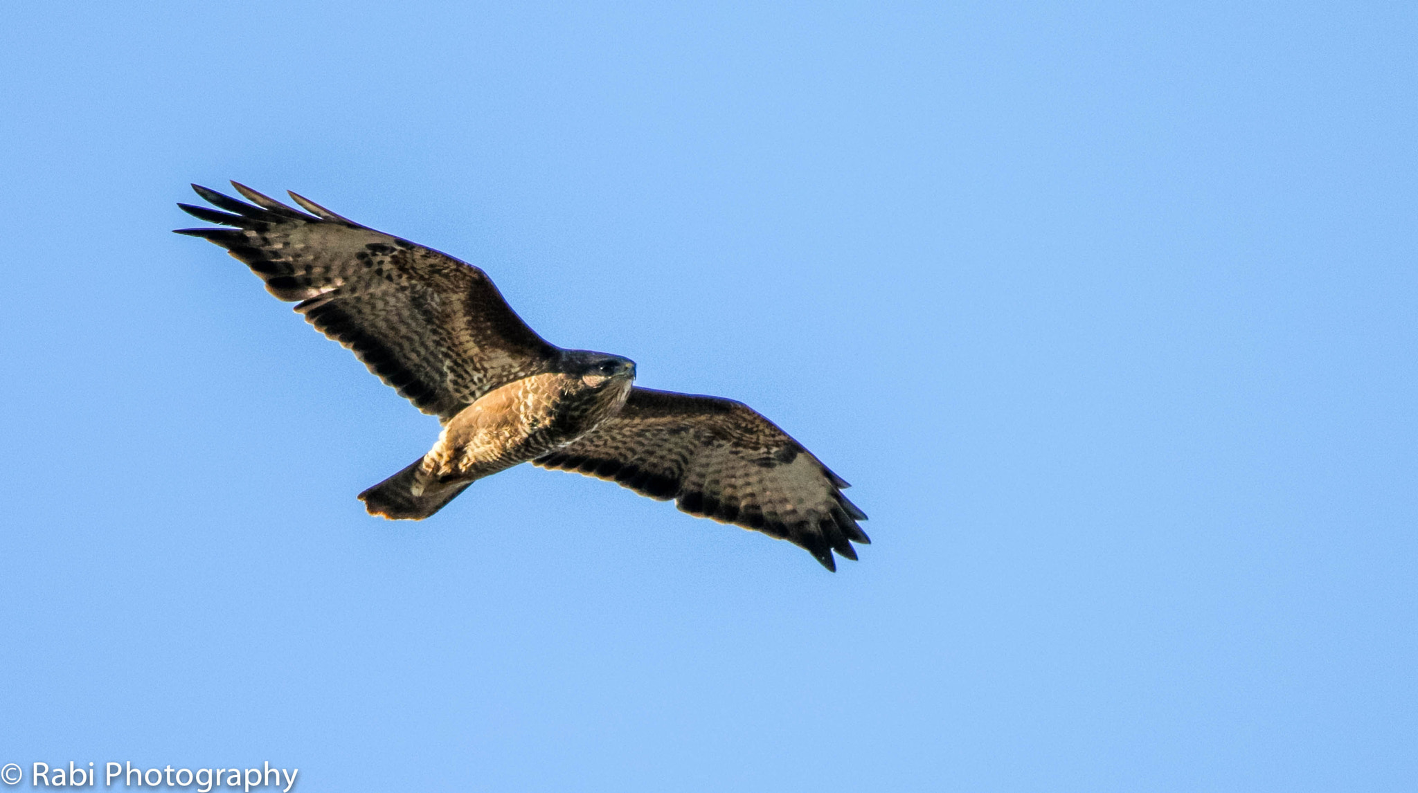 150-600mm F5-6.3 DG OS HSM | Sports 014 sample photo. Img photography