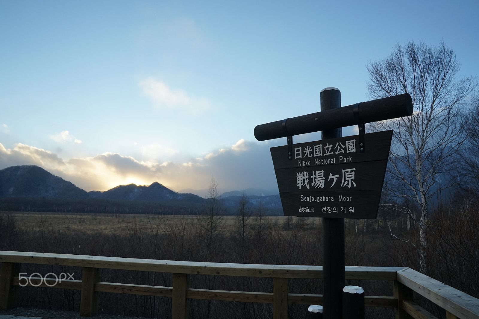 Sony FE 24-70mm F2.8 GM sample photo. Nikko photography