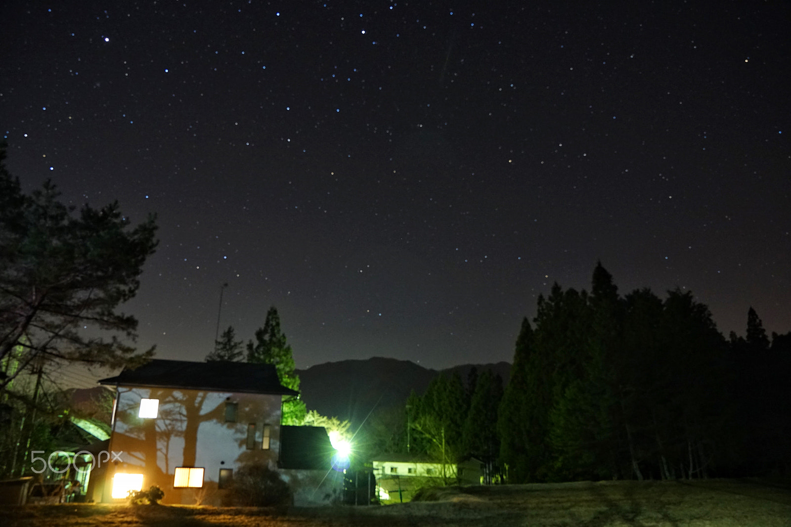 Sony FE 24-70mm F2.8 GM sample photo. Nikko photography