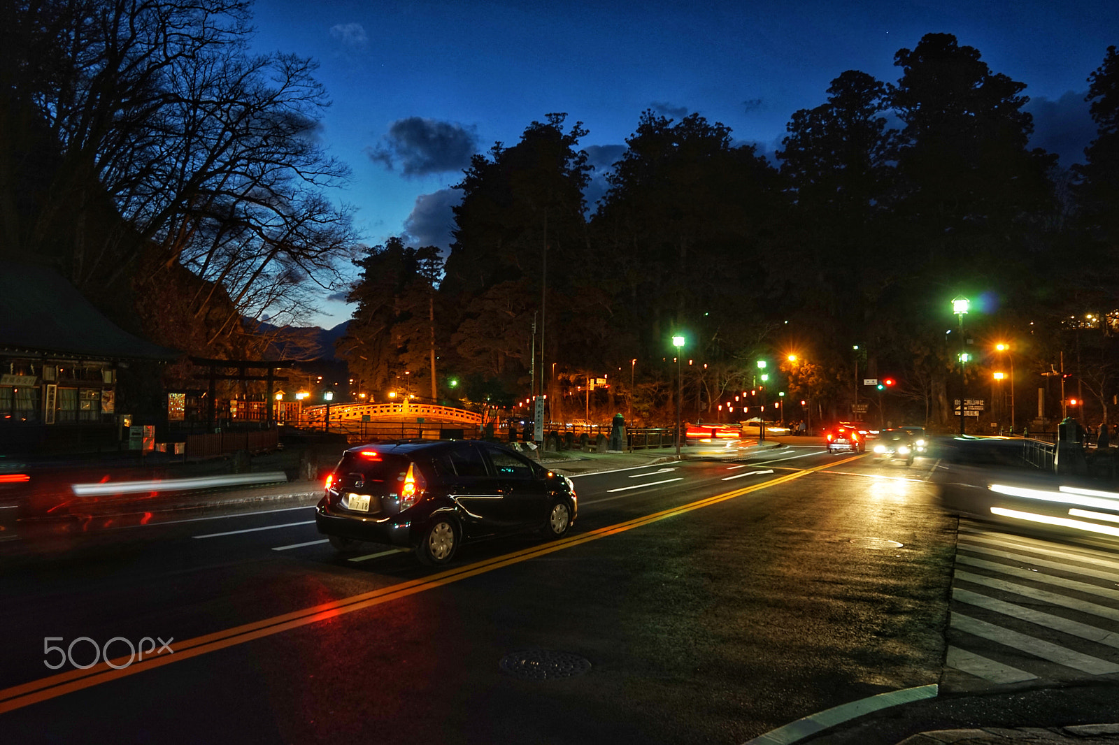 Sony FE 24-70mm F2.8 GM sample photo. Nikko photography