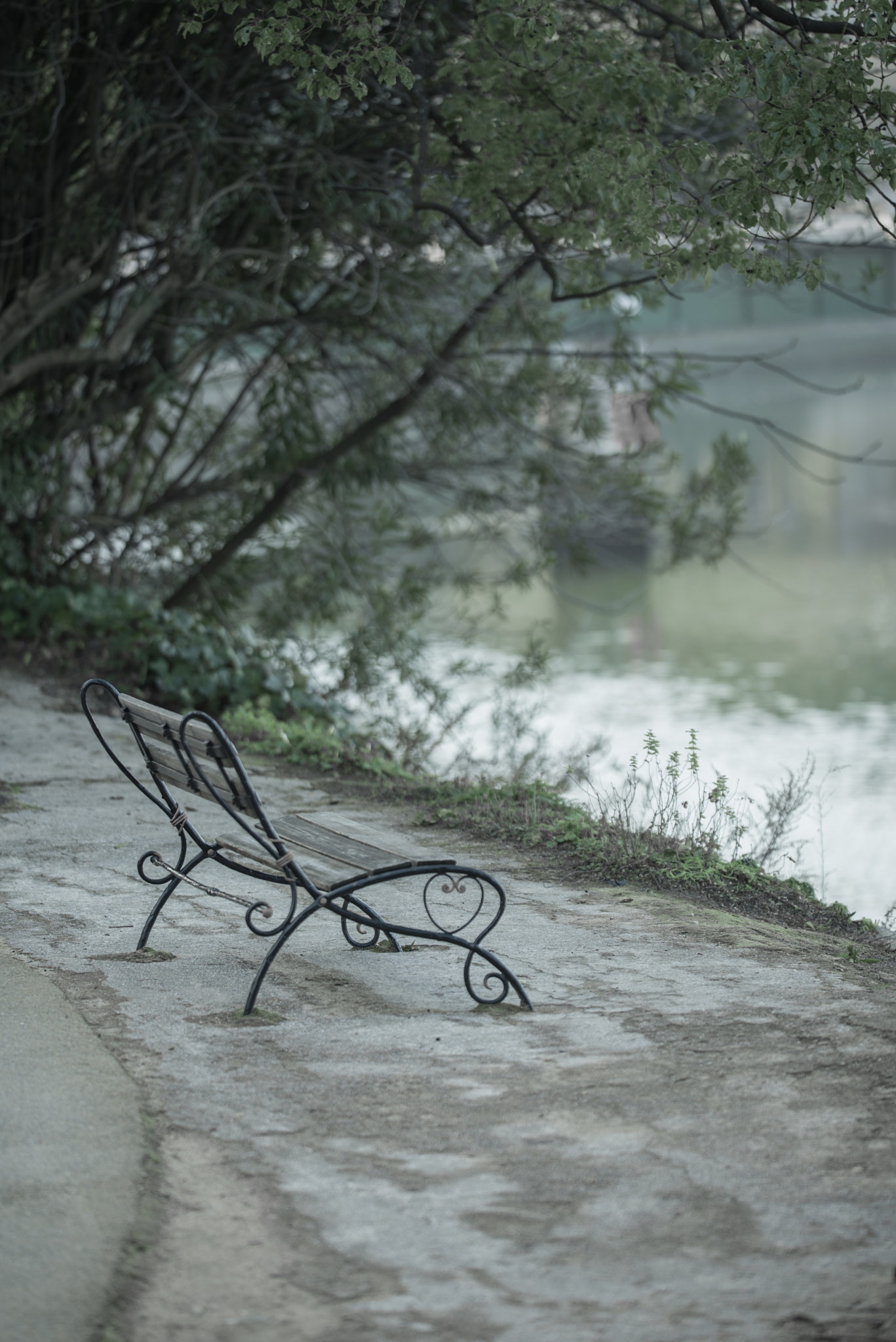 Nikon D750 sample photo. Bench photography