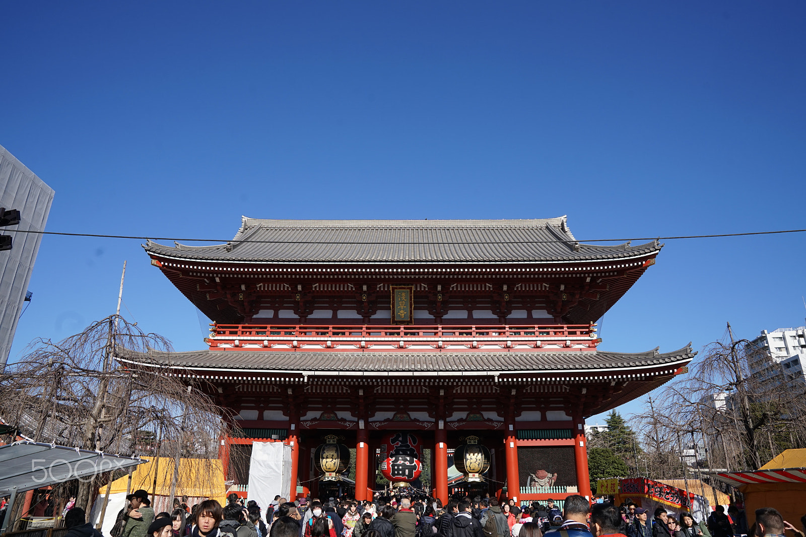 Sony FE 24-70mm F2.8 GM sample photo. 2016-12-31 101830.jpg photography