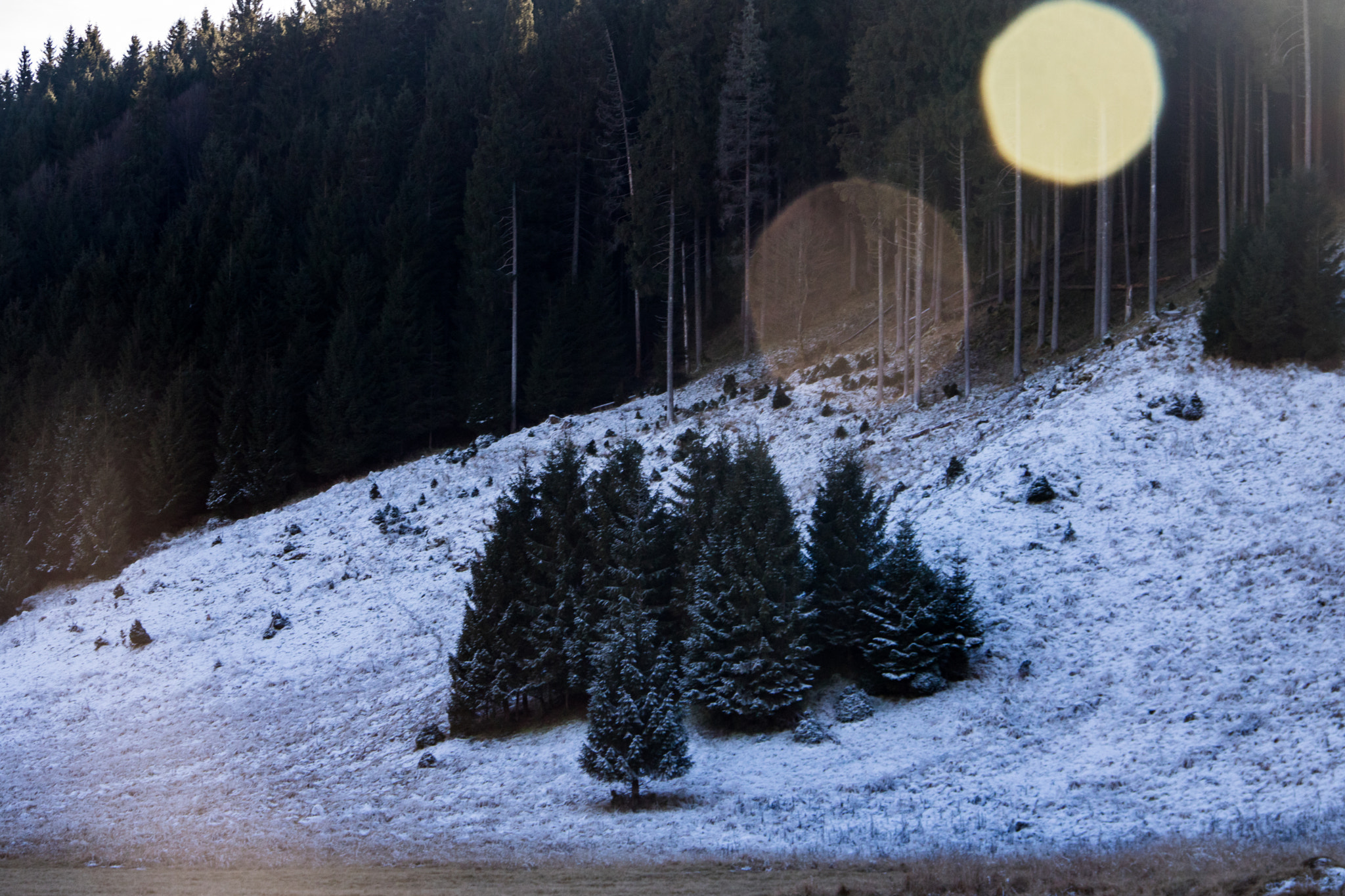 Canon EOS 760D (EOS Rebel T6s / EOS 8000D) sample photo. Frosty hills photography