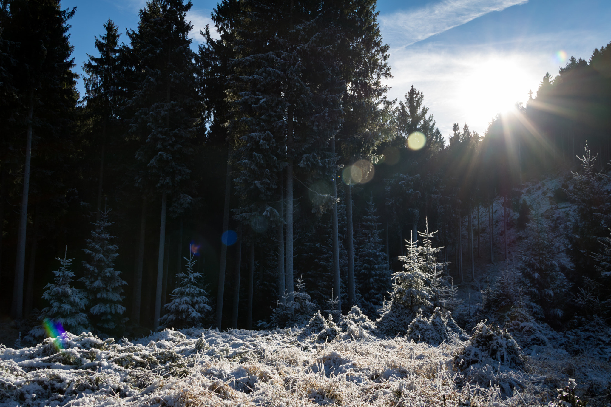 Canon EOS 760D (EOS Rebel T6s / EOS 8000D) sample photo. Field of snow photography