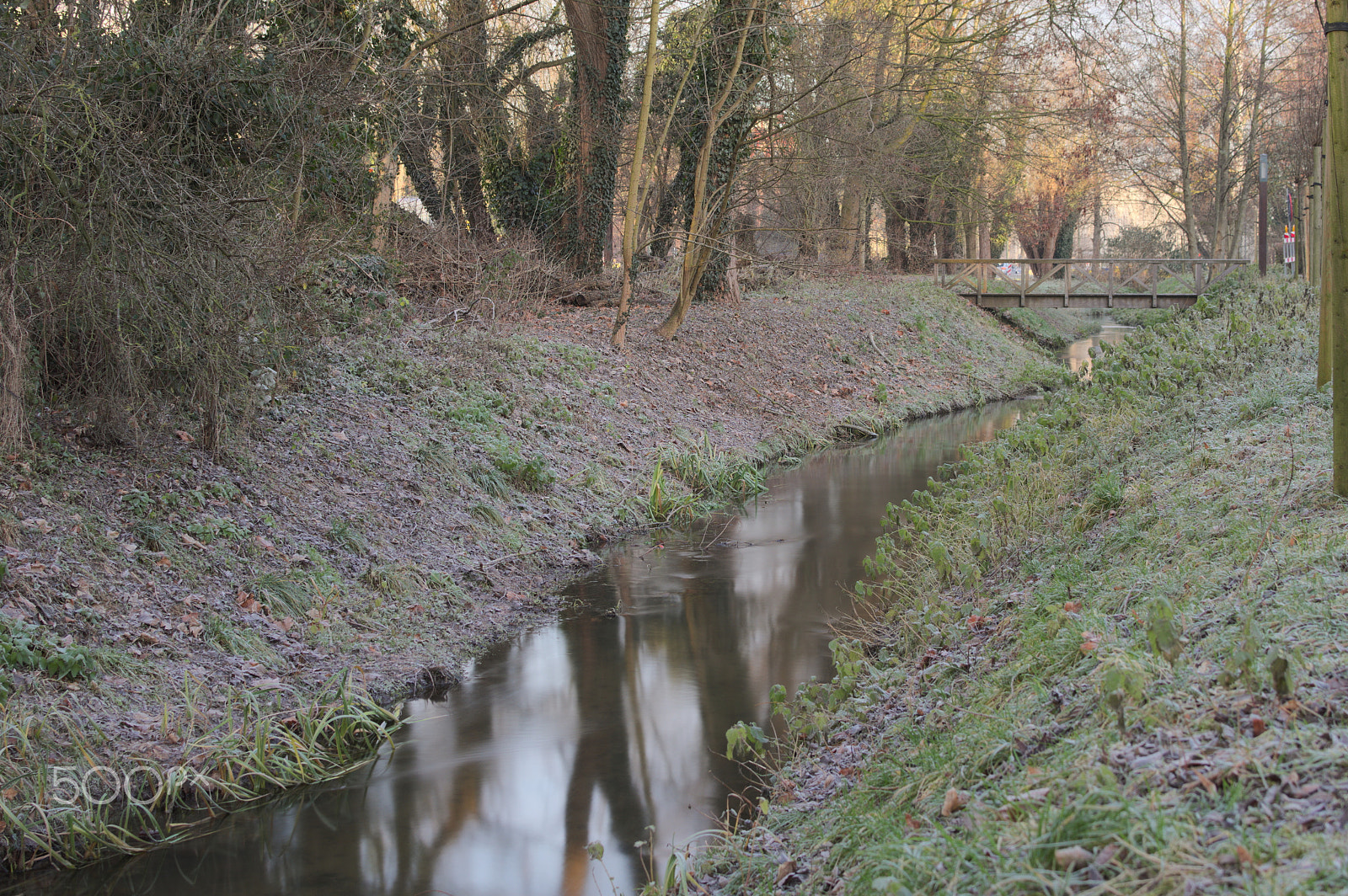 Nikon D500 + Nikon AF-S DX Nikkor 35mm F1.8G sample photo. Woluwe stream photography