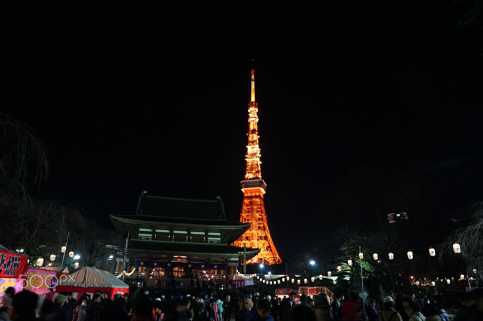 Sony FE 24-70mm F2.8 GM sample photo. 2016-12-31 193049.jpg photography