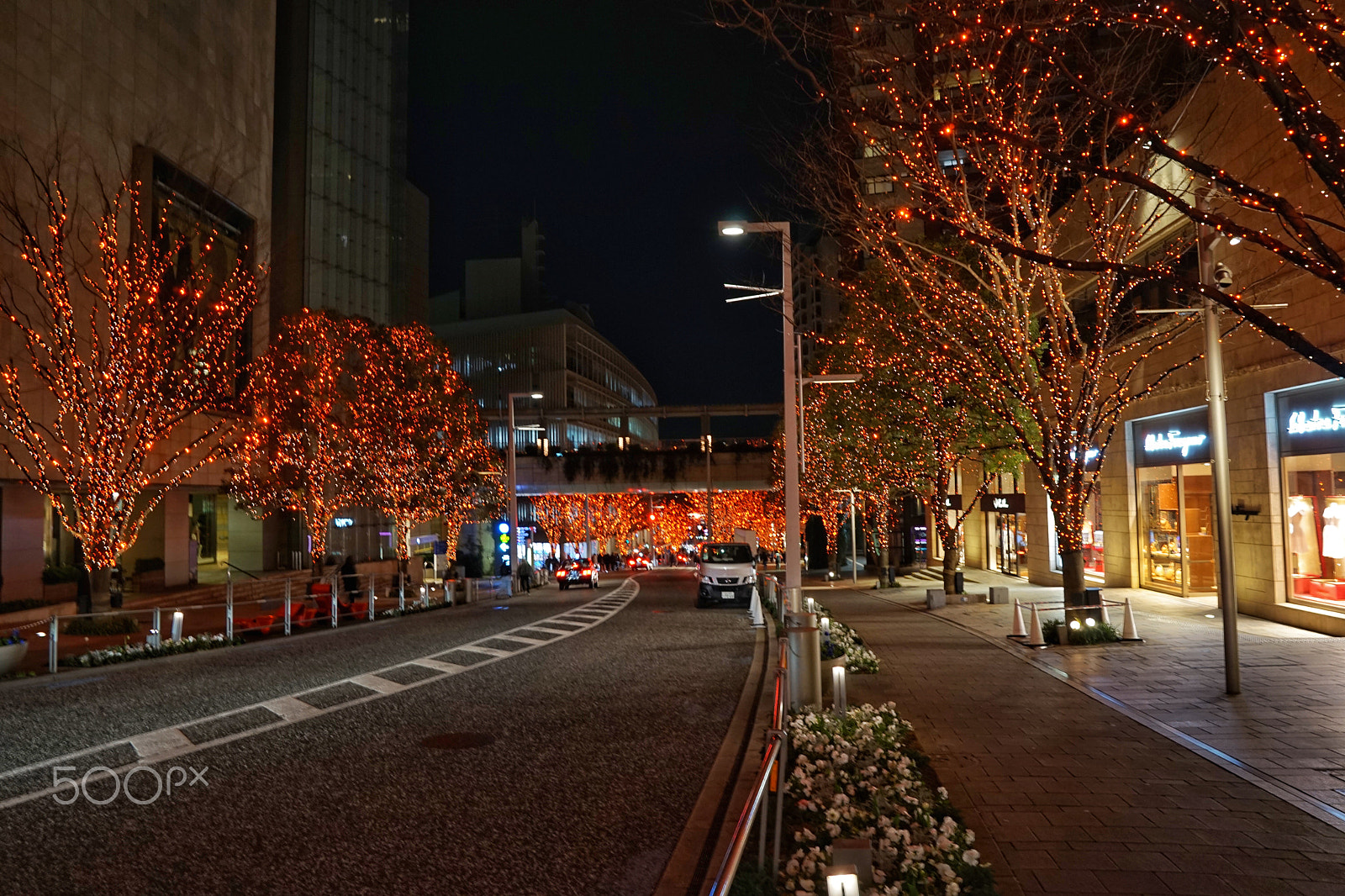 Sony FE 24-70mm F2.8 GM sample photo. 2016-12-31 223203.jpg photography
