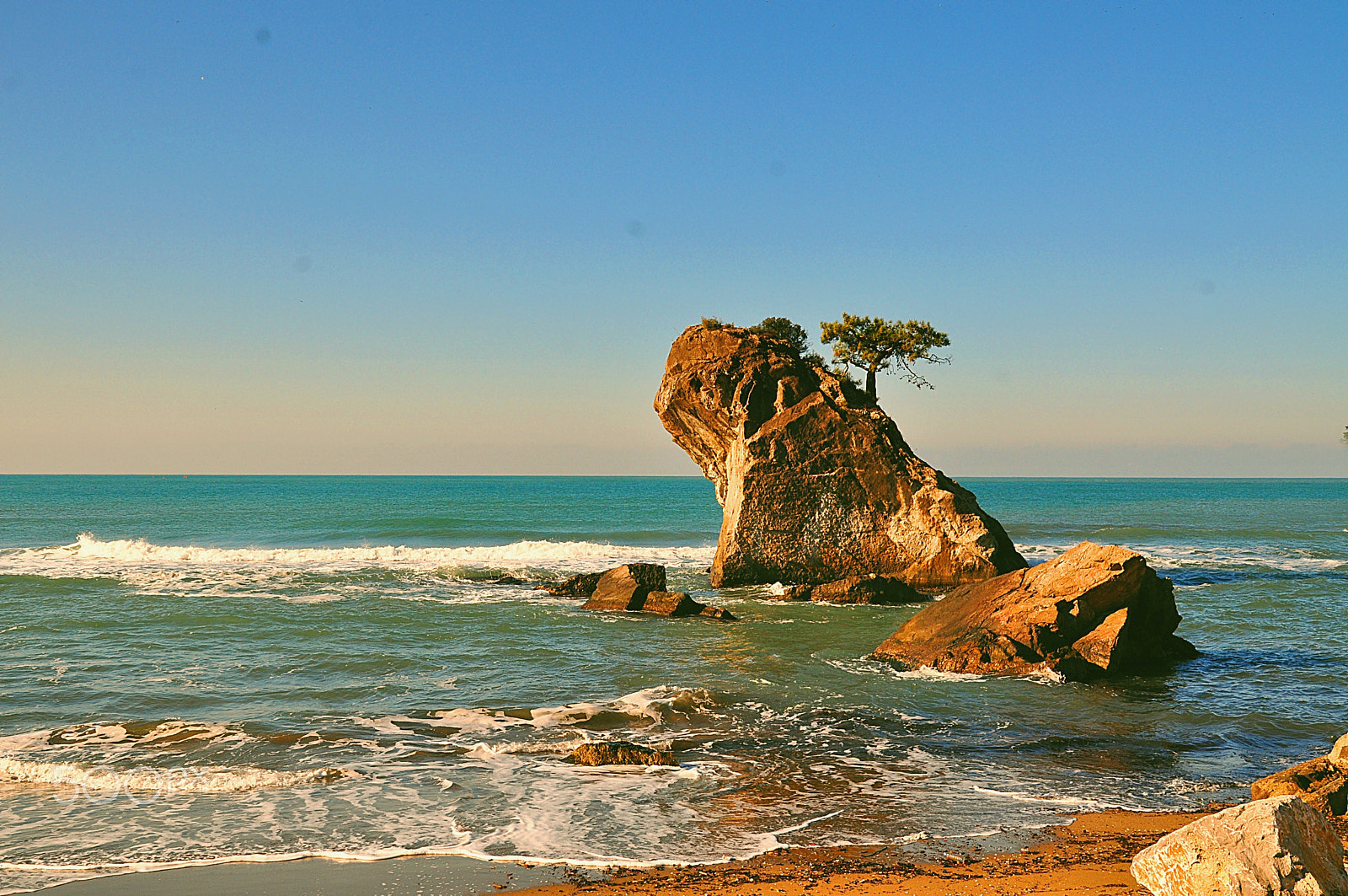 Nikon D5000 sample photo. ** photography