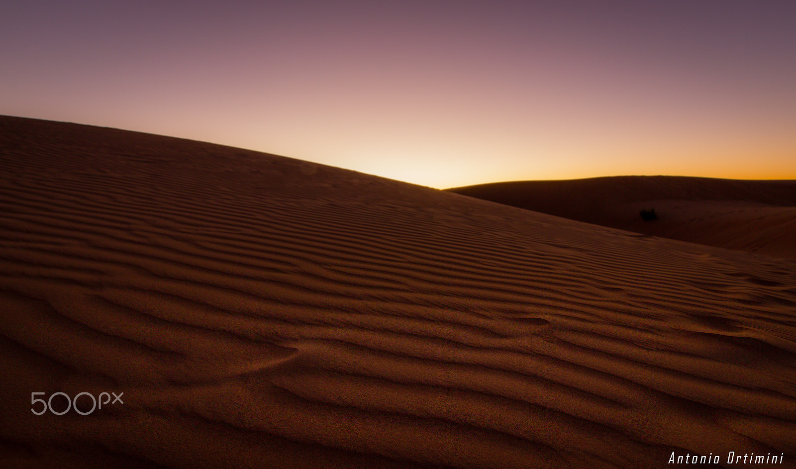 Sigma 10-20mm F3.5 EX DC HSM sample photo. Img photography