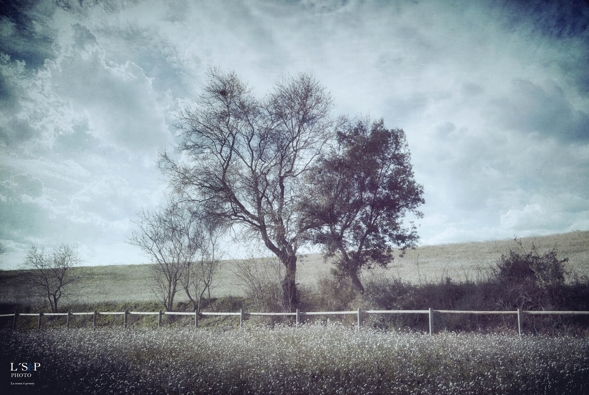Nikon D3S sample photo. Ullastrell photography