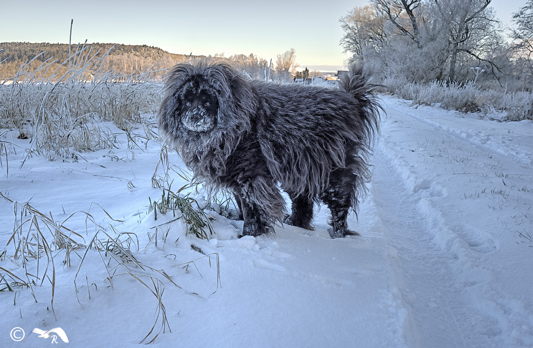 Fujifilm X-E1 + Fujifilm XF 27mm F2.8 sample photo. It`s cold outside photography