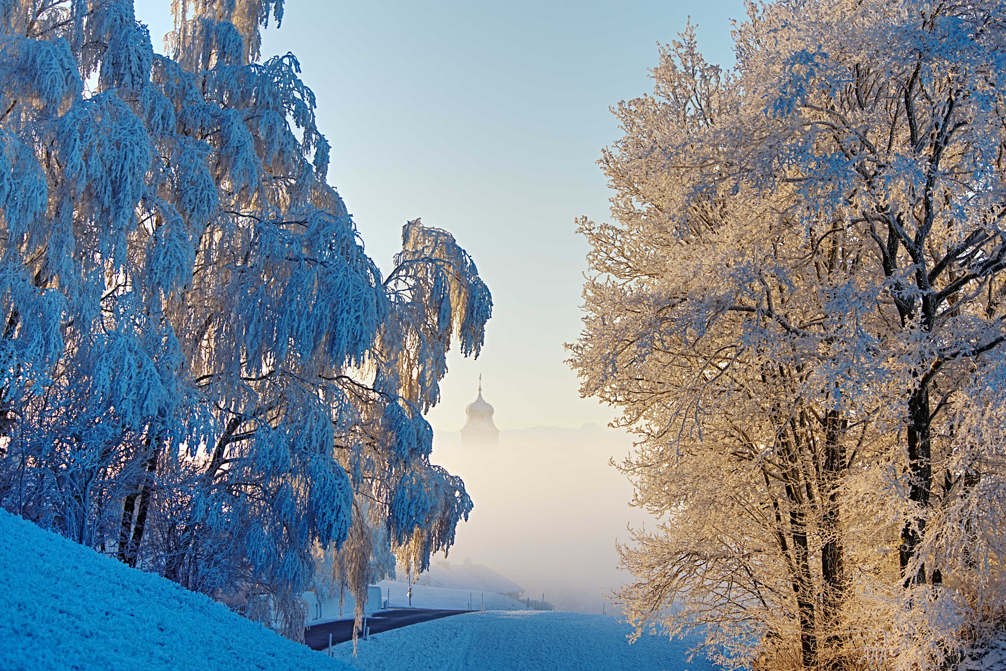 Nikon D800 sample photo. Frosty day photography
