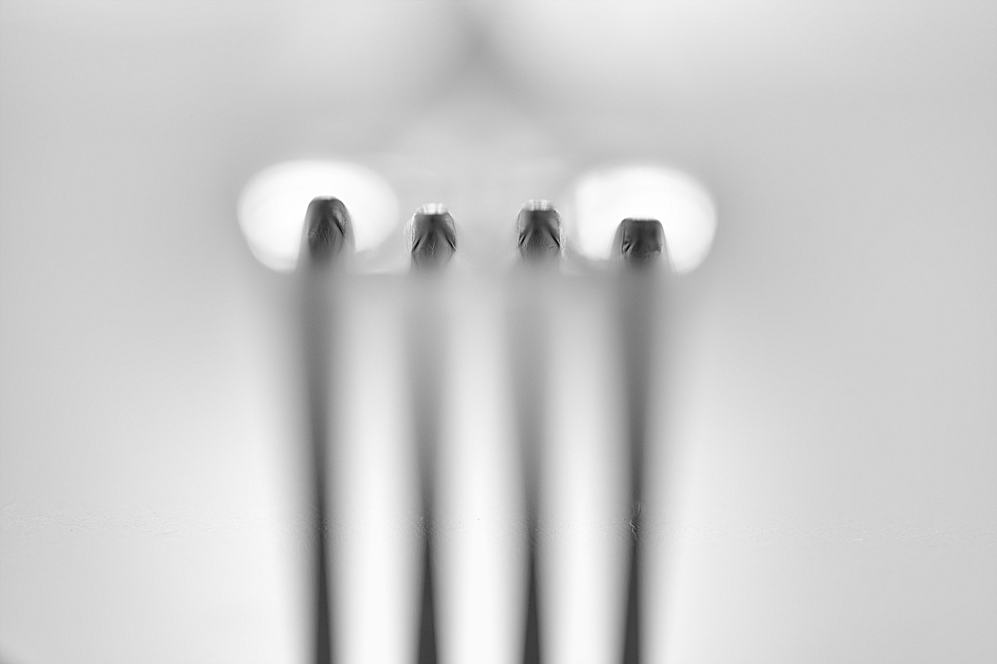 Tokina AT-X Pro 100mm F2.8 Macro sample photo. Fork photography