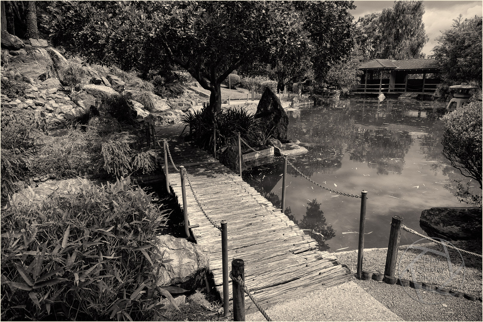 Fujifilm X-E1 + Fujifilm XF 14mm F2.8 R sample photo. Rockhampton japanese garden photography