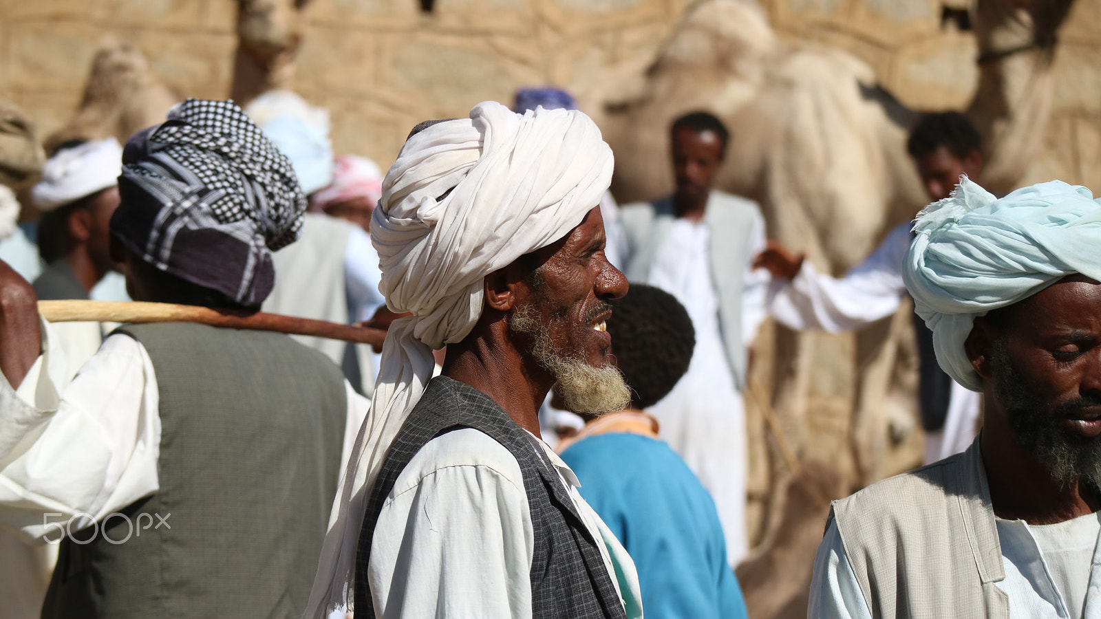 Canon EOS M3 sample photo. Camel market, karen, eritrea photography