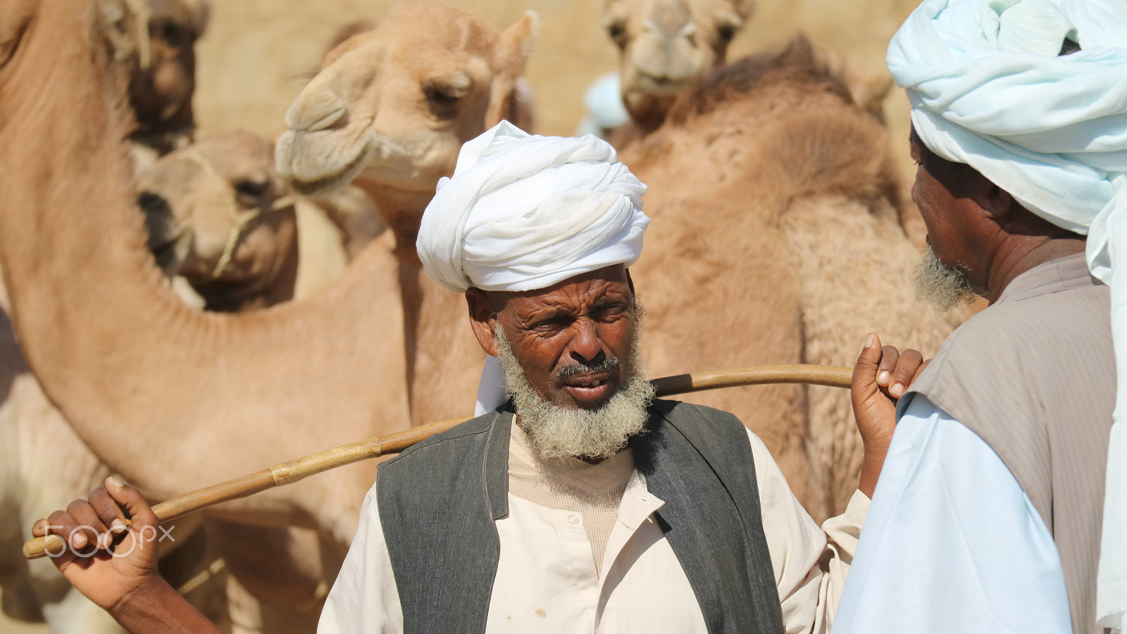 Canon EOS M3 sample photo. Camel market, karen, eritrea photography