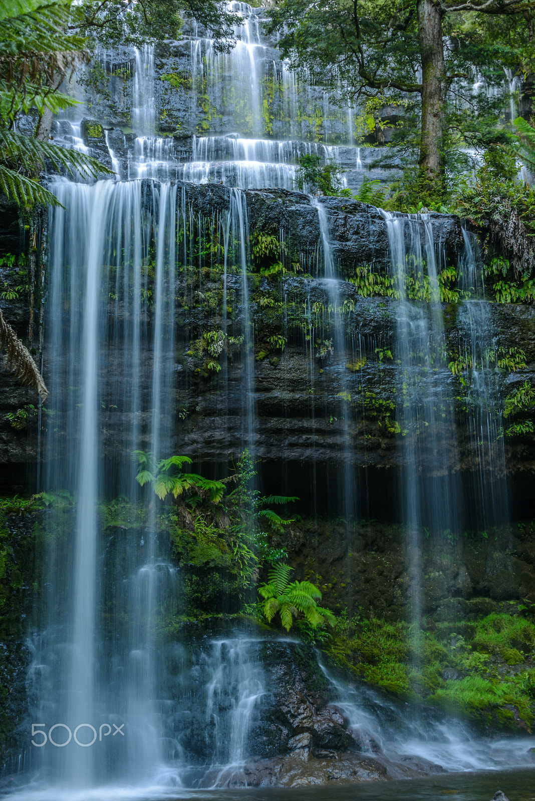 Sigma 18-250mm F3.5-6.3 DC OS HSM sample photo. Russell falls photography