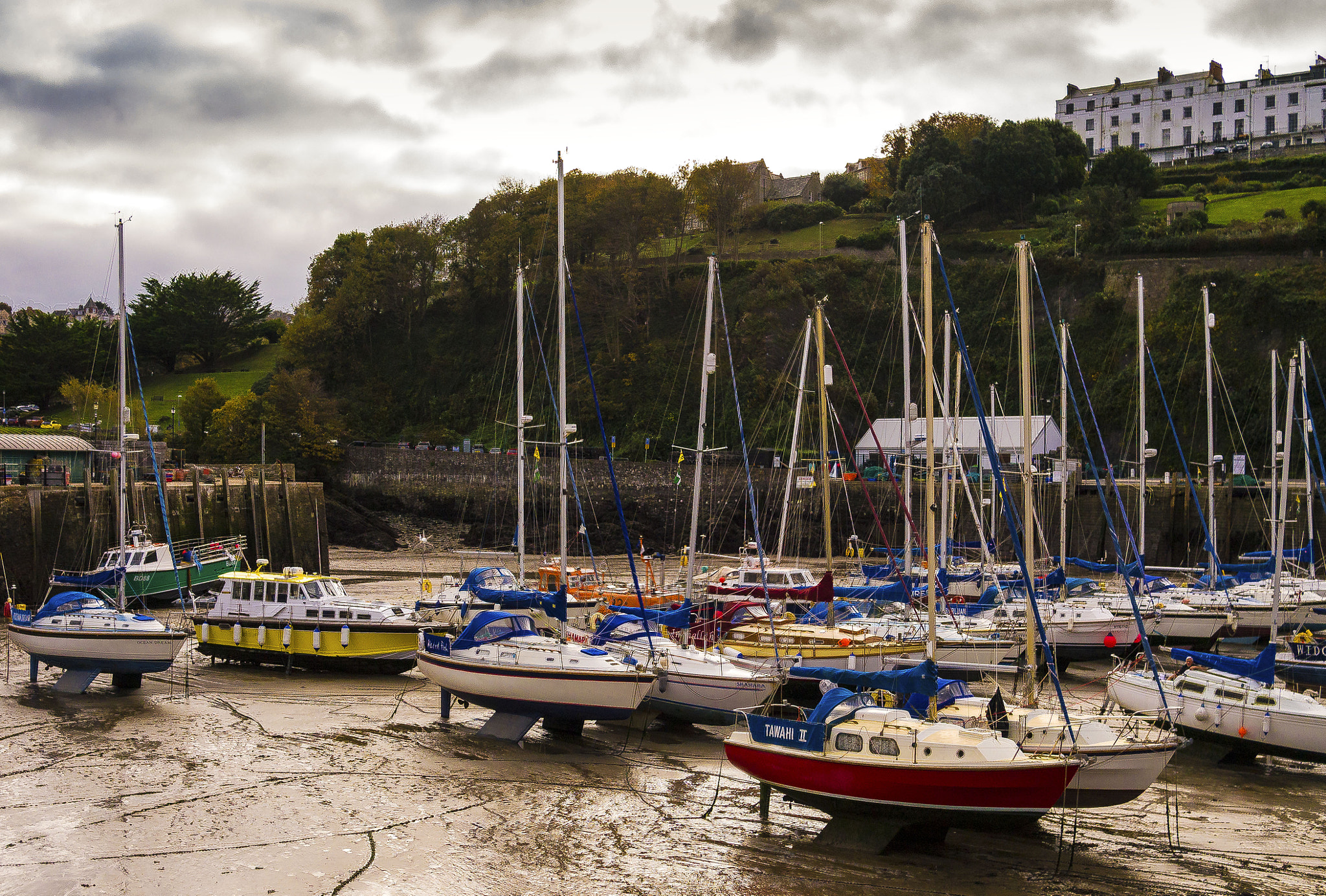 Panasonic Lumix DMC-G3 + Panasonic Lumix G 20mm F1.7 ASPH sample photo. Ilfracombe harbour mud photography