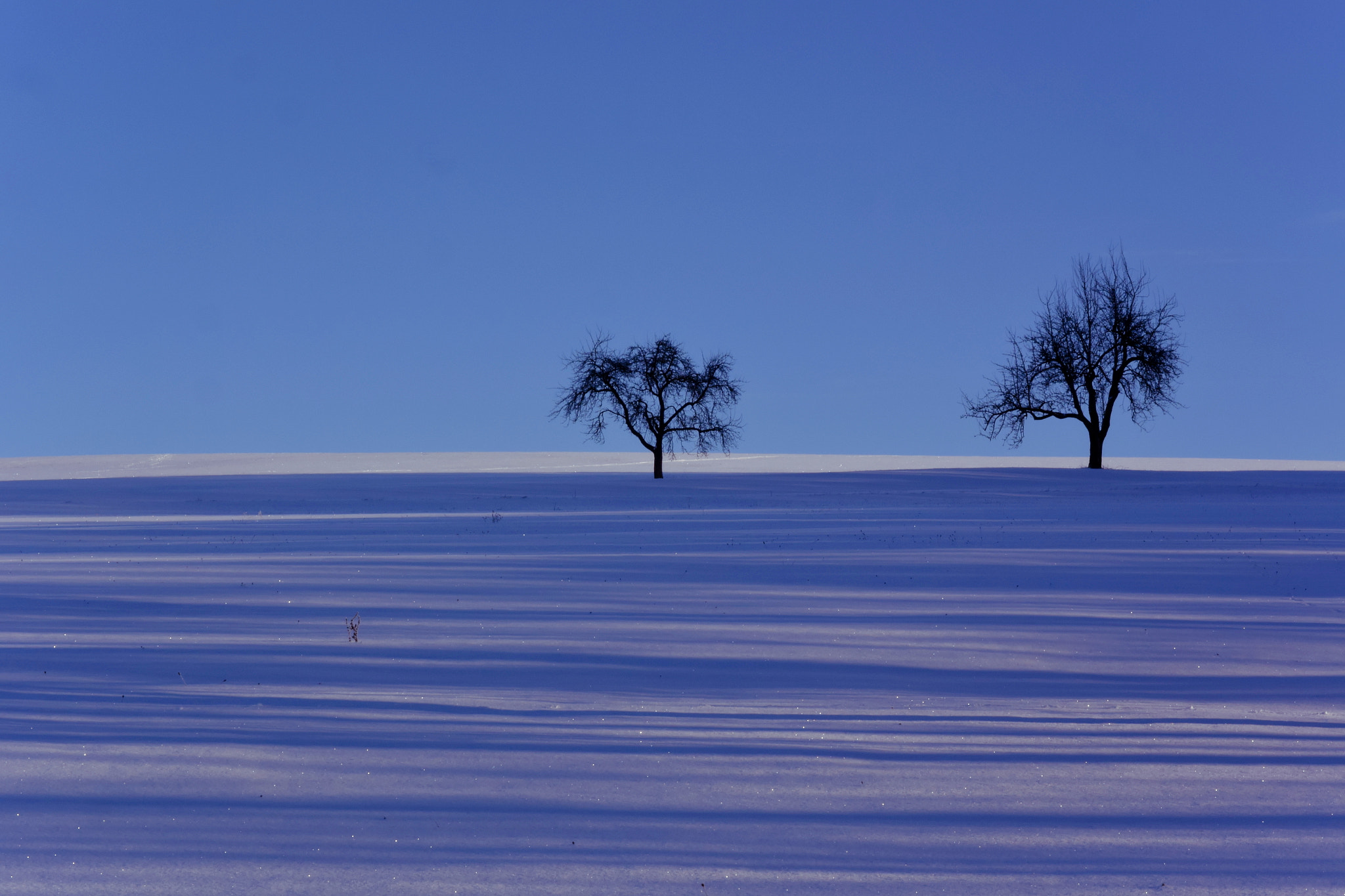 Nikon 1 V3 sample photo. Striped snow photography