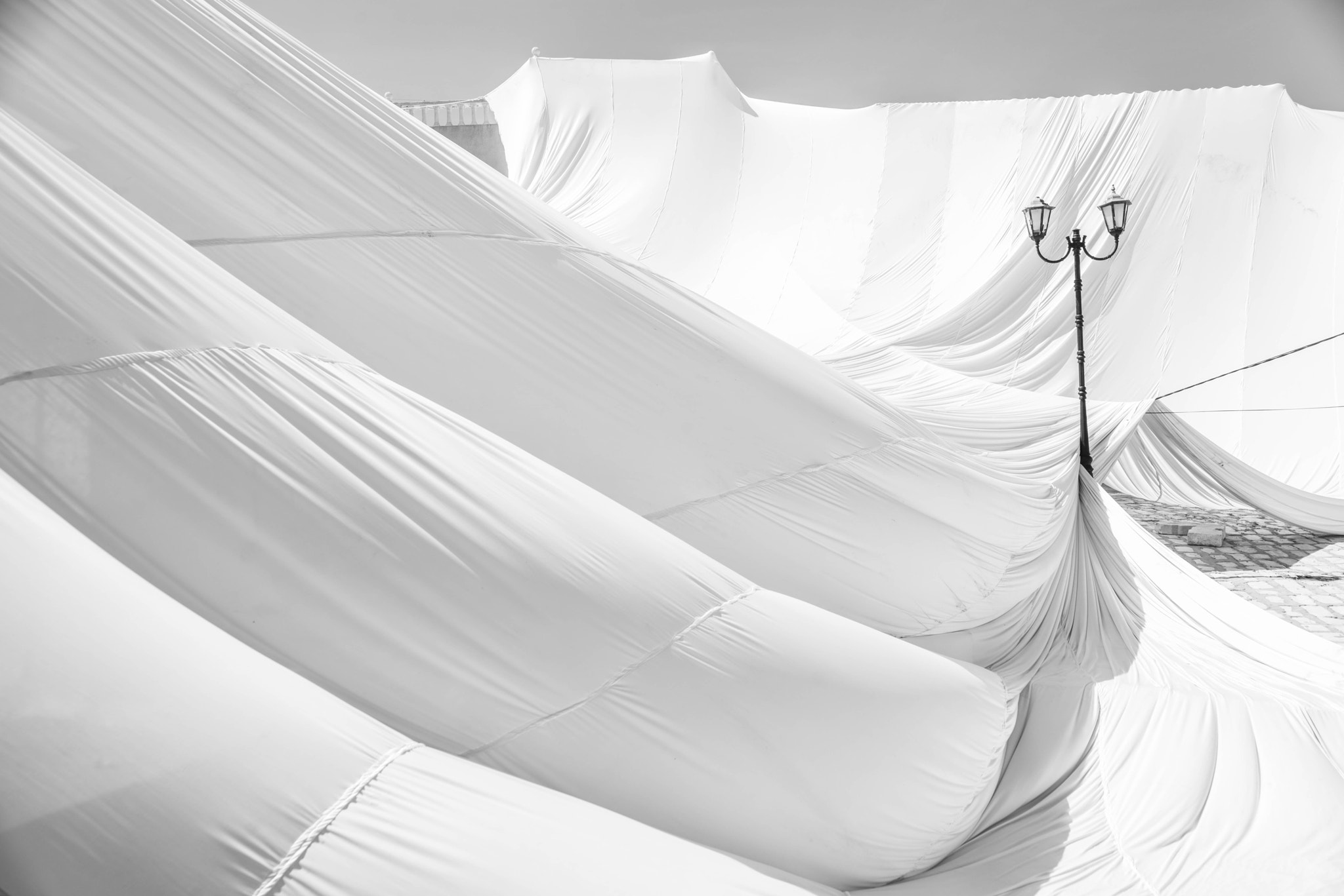 Nikon D800 sample photo. White immersion photography