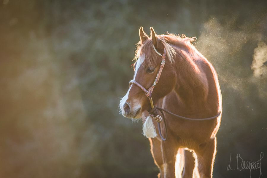 Pentax K-1 sample photo. Youth photography