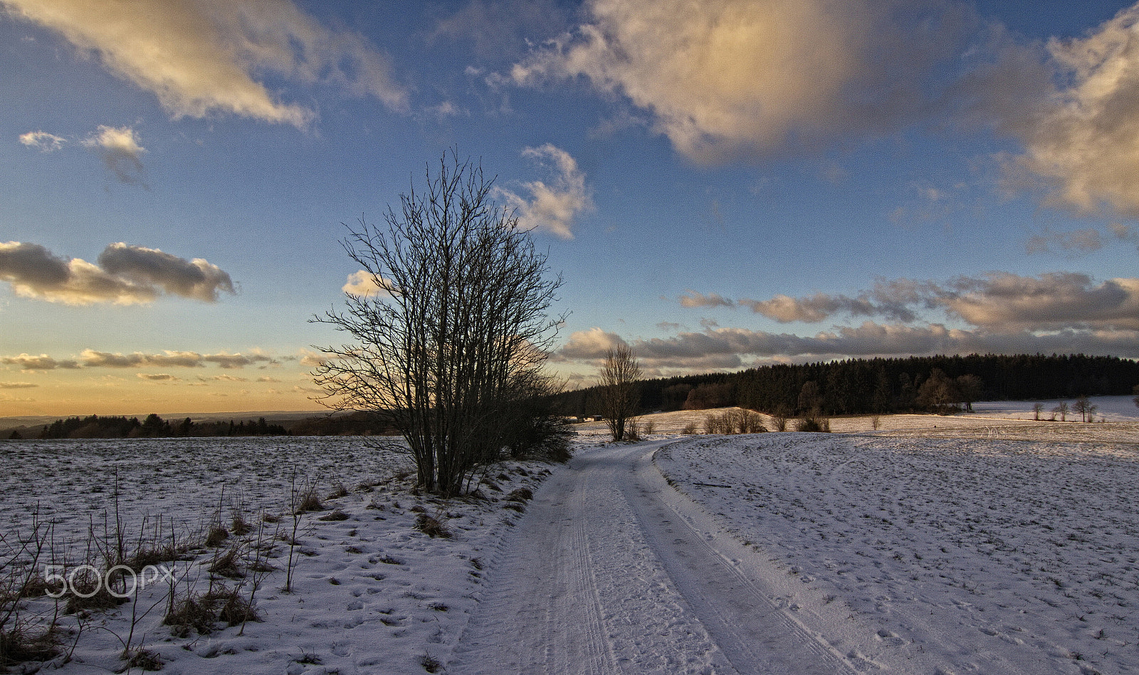 Tokina AT-X Pro 12-24mm F4 (IF) DX sample photo. Winterday photography