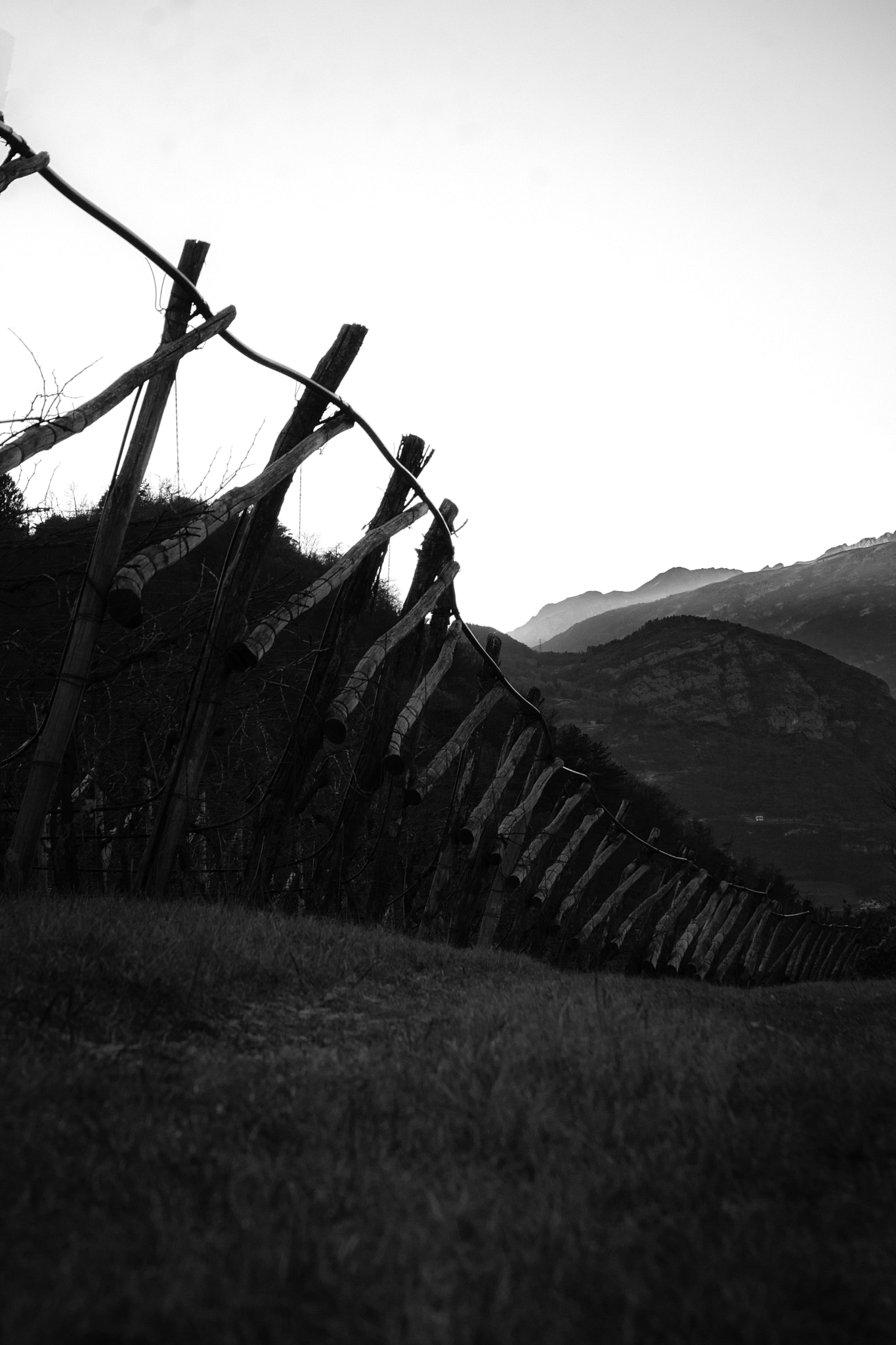 Sony a5100 sample photo. Layers photography