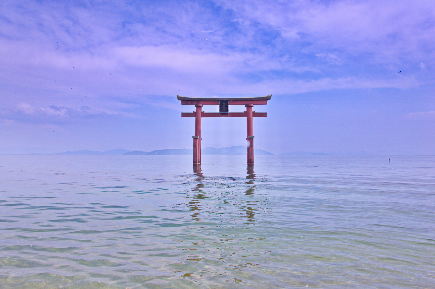 Sony Alpha NEX-5N + Sigma 19mm F2.8 EX DN sample photo. Red torii photography