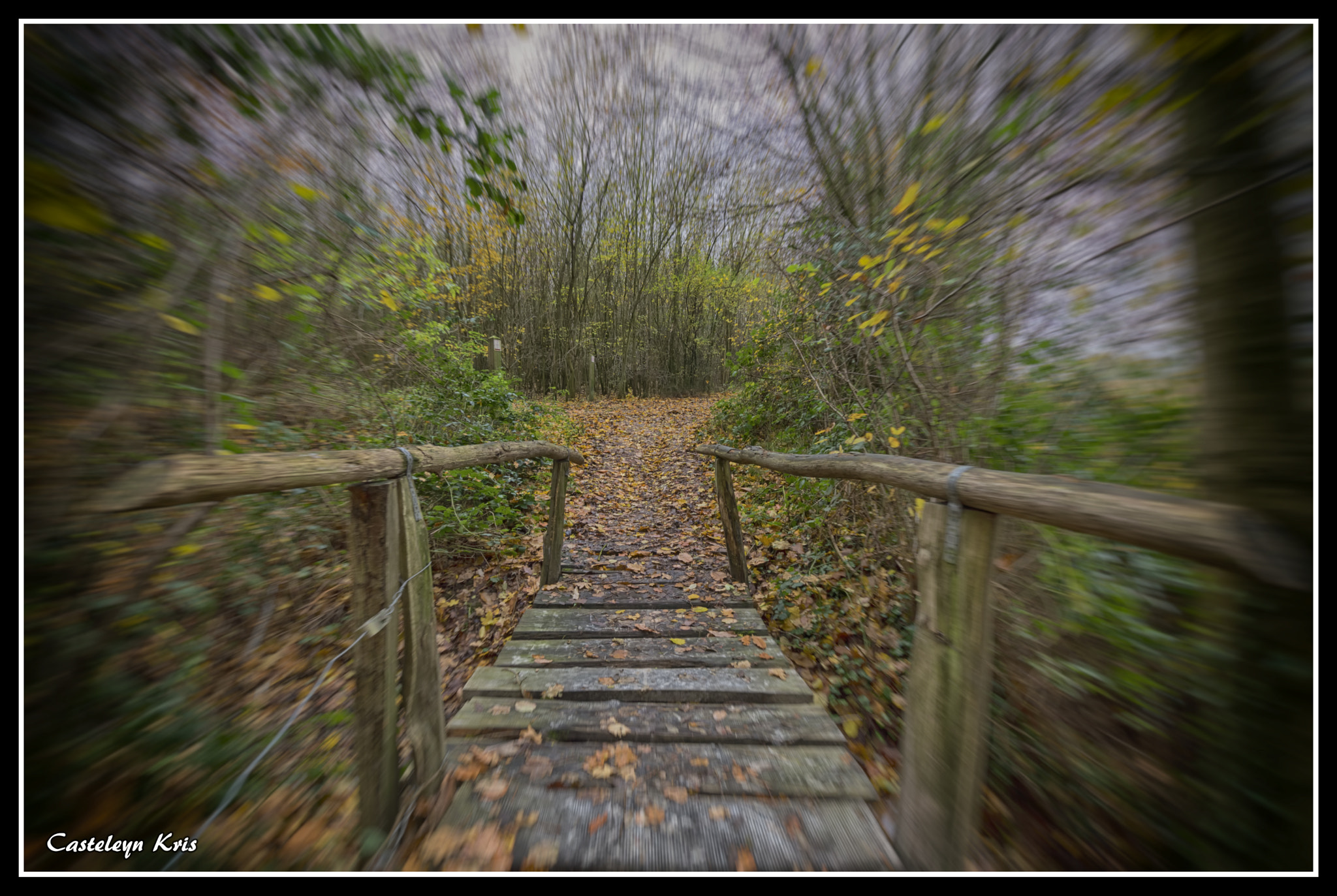 Sigma 10-20mm F3.5 EX DC HSM sample photo. Bridge photography