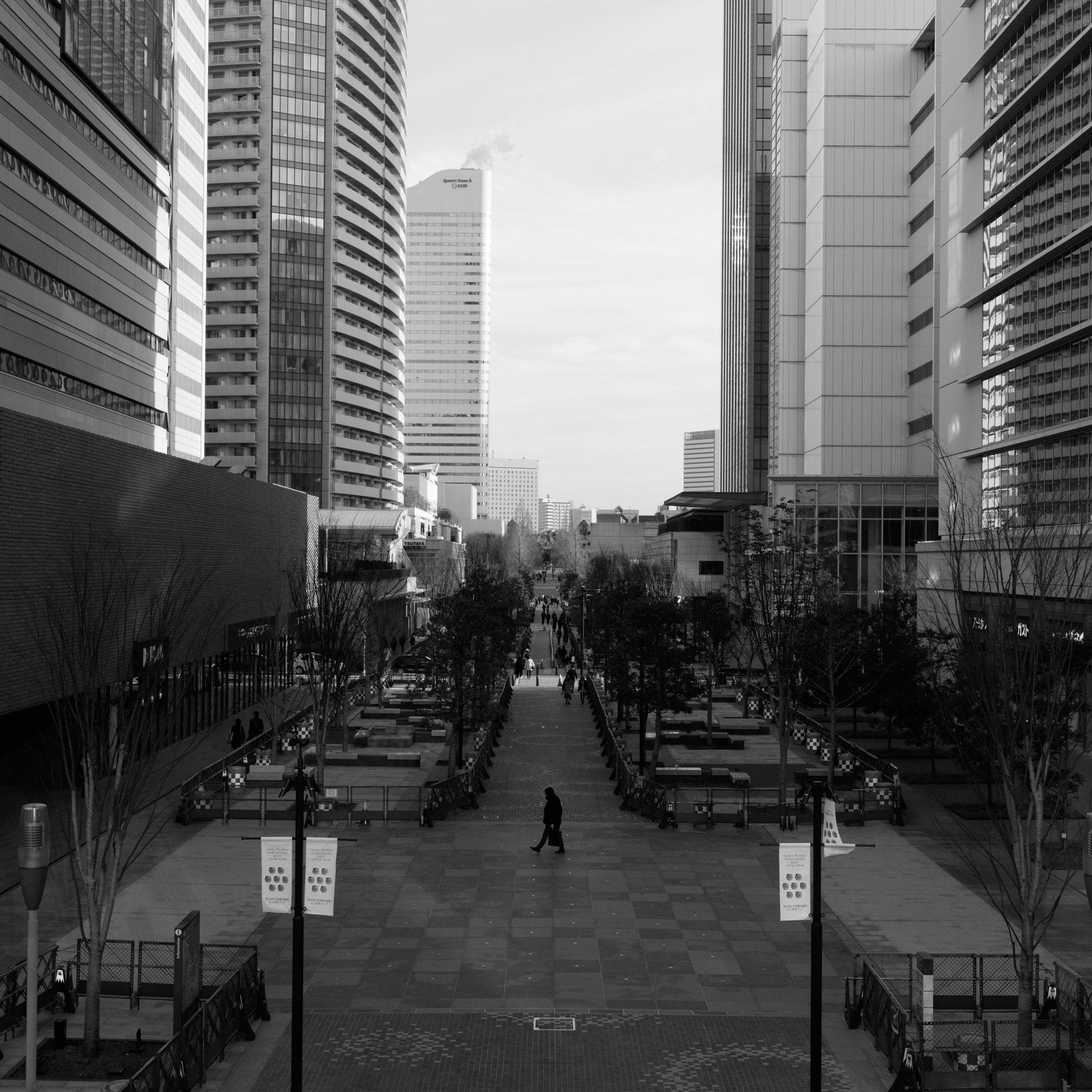 Canon EF 35mm F1.4L II USM sample photo. Street photography
