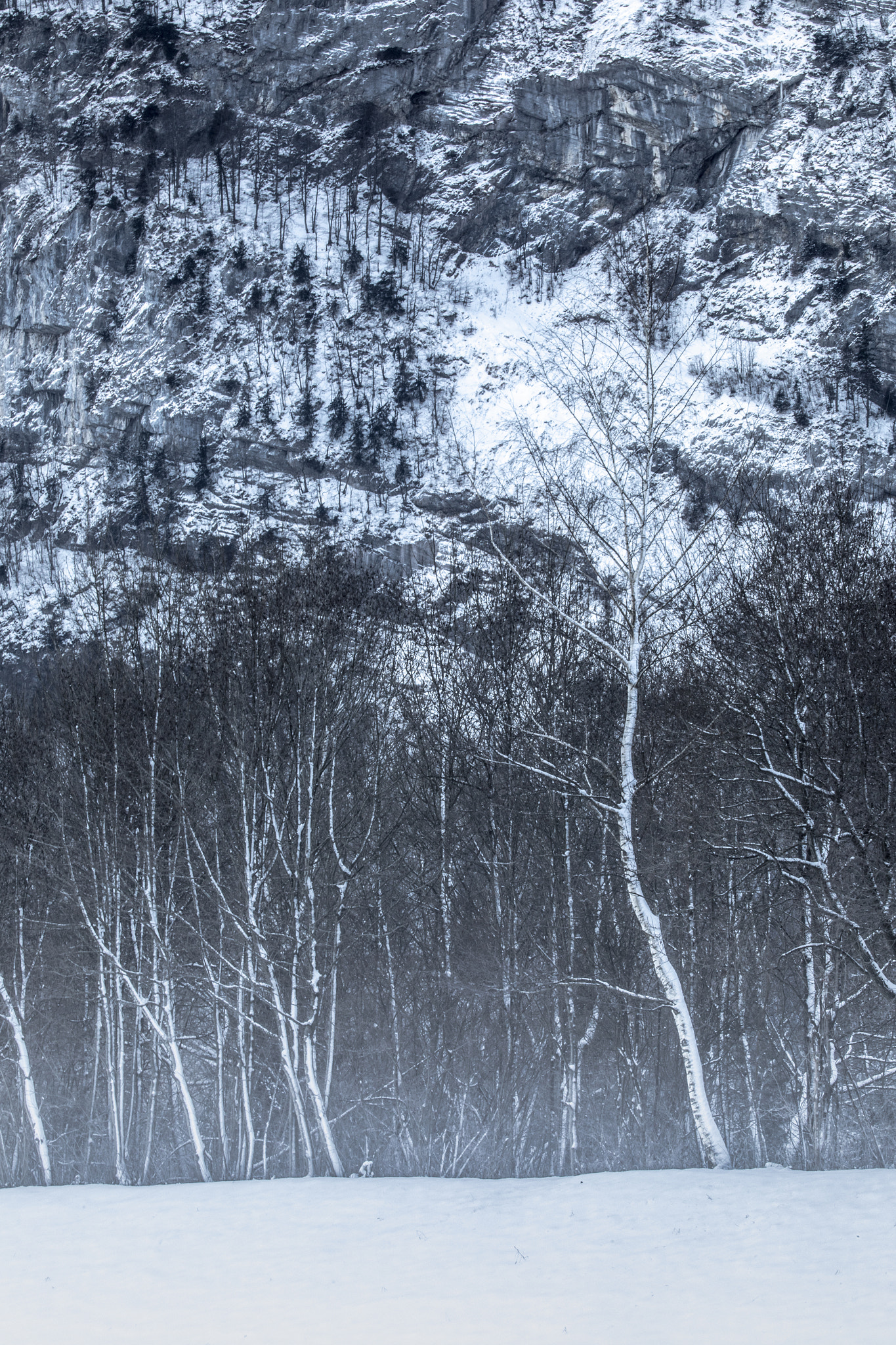 Canon EF 70-200mm F2.8L IS II USM sample photo. Cold morning x photography